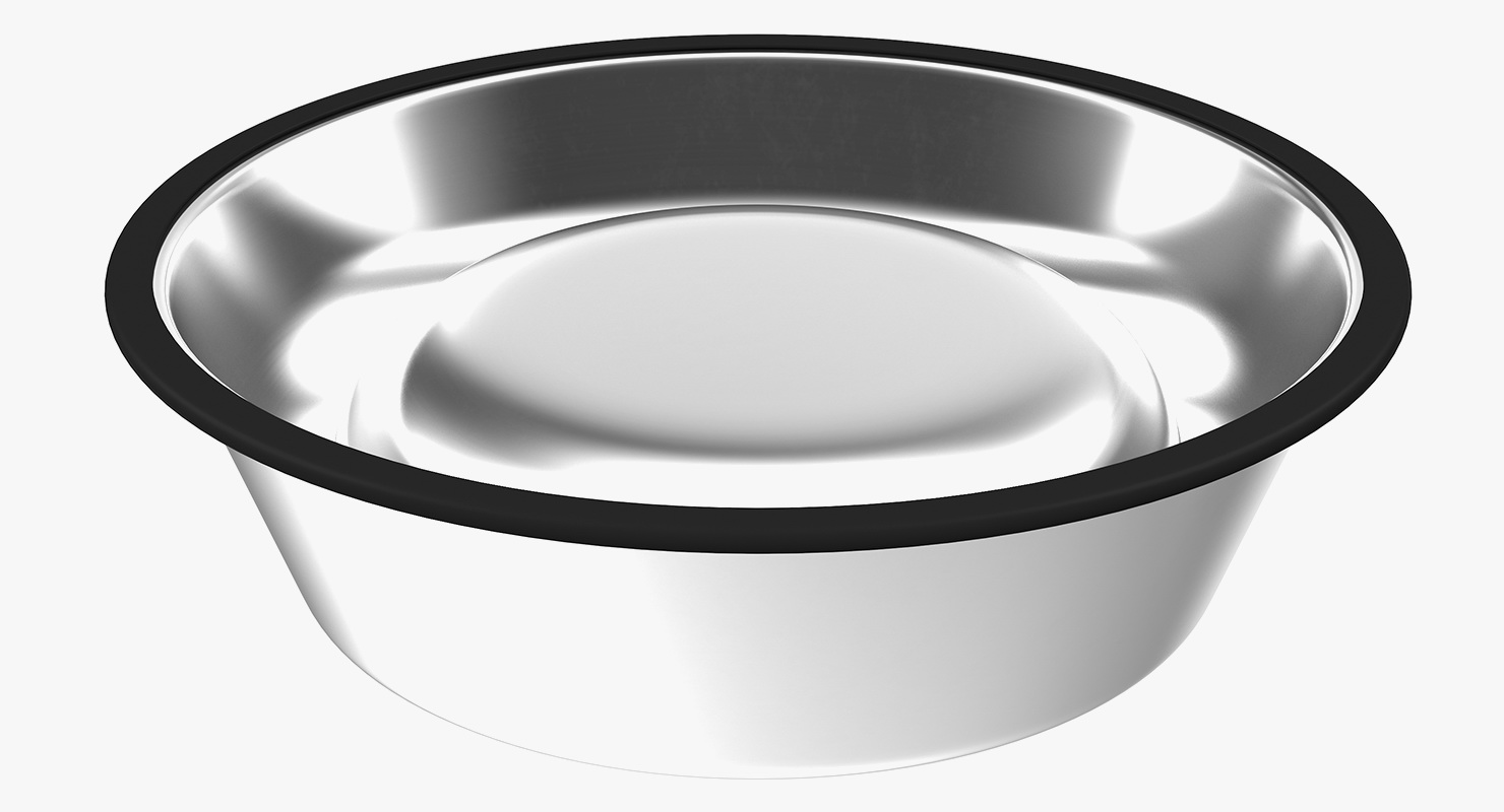 3D Dry Dog Food Stainless Steel Bowl model