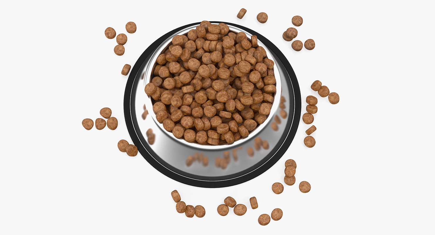 3D Dry Dog Food Stainless Steel Bowl model