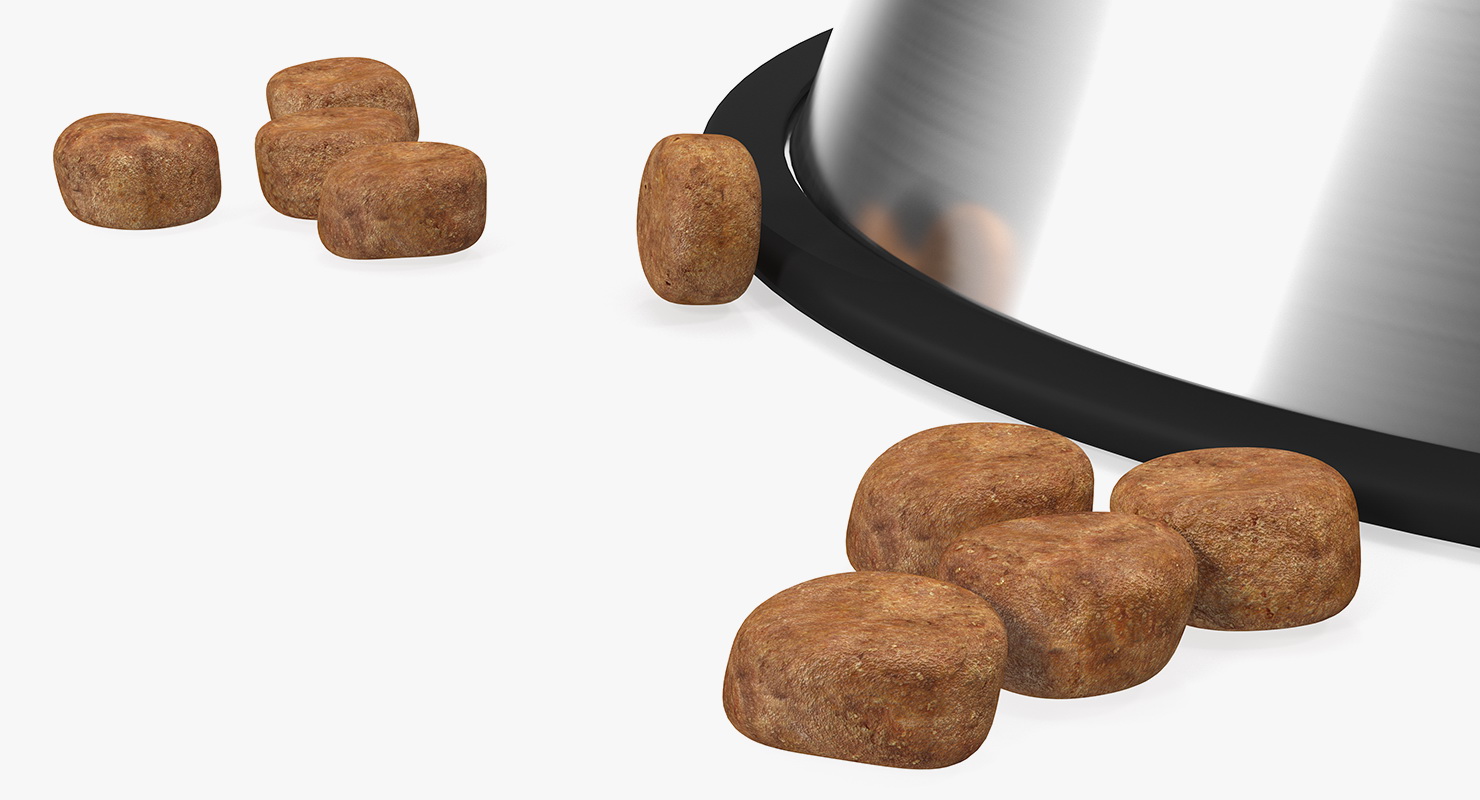 3D Dry Dog Food Stainless Steel Bowl model