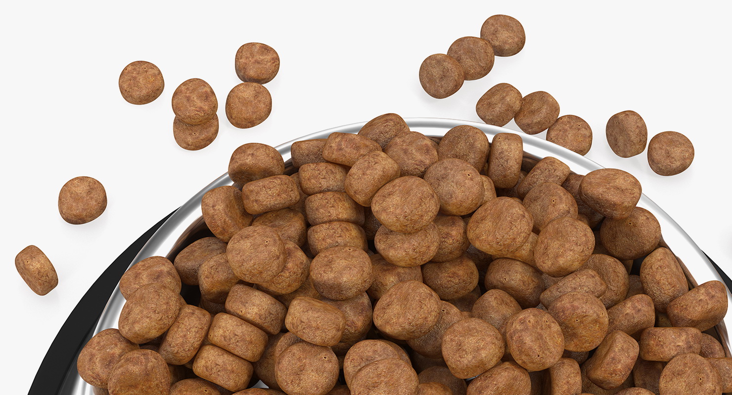 3D Dry Dog Food Stainless Steel Bowl model