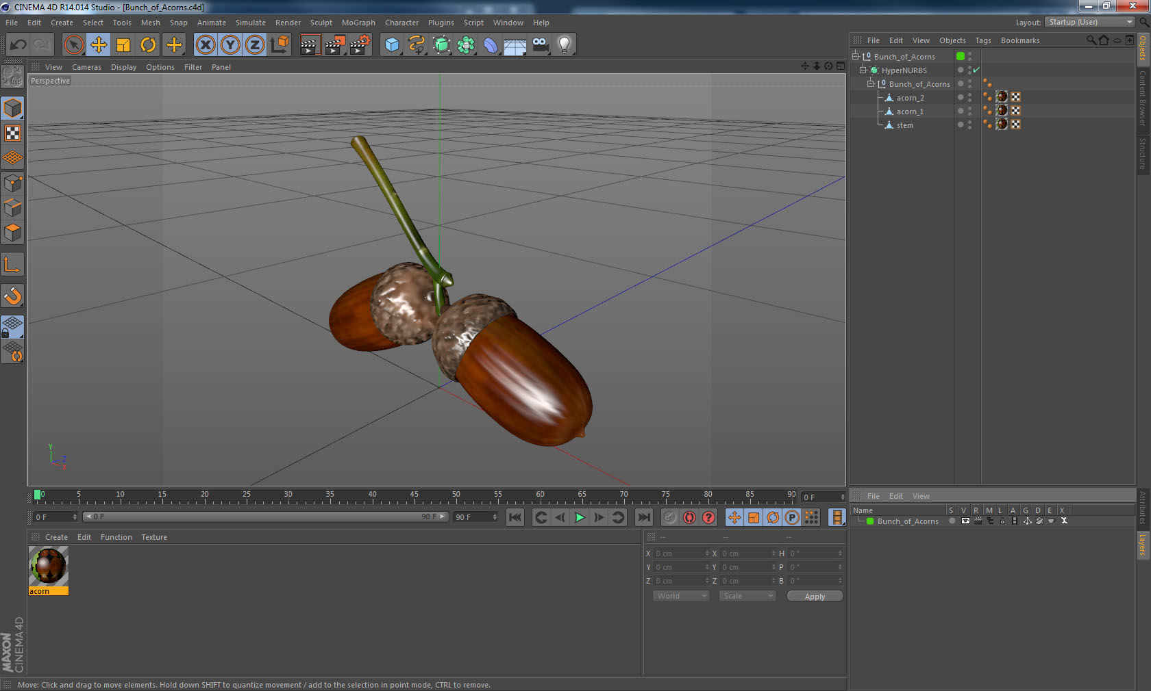 3D model Two Acorns on Branch