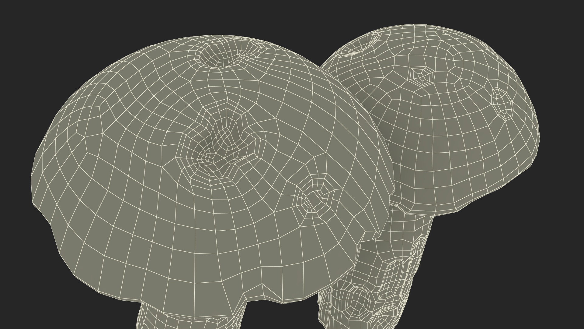 Brown Cap Boletus 3D