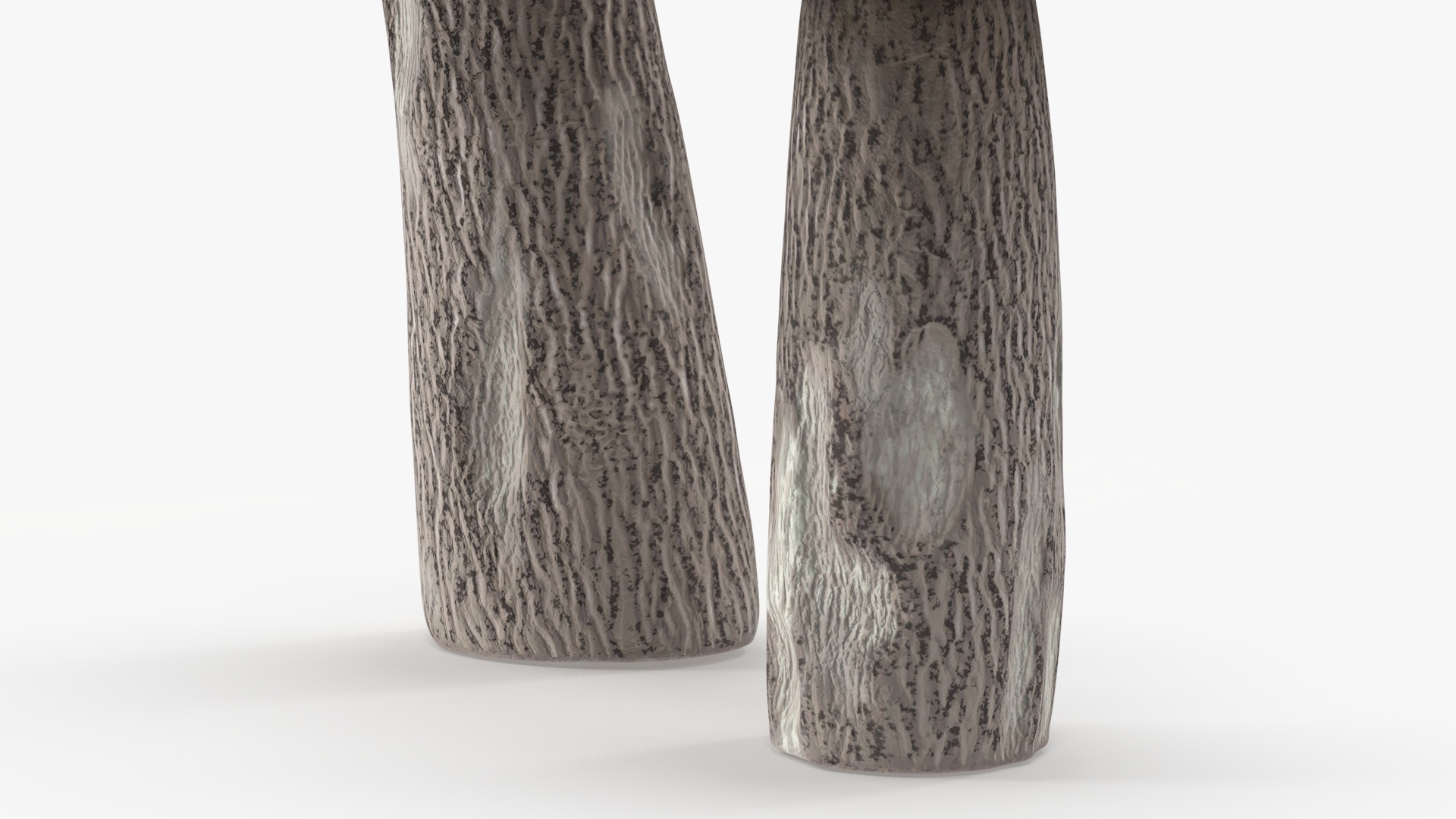 Brown Cap Boletus 3D