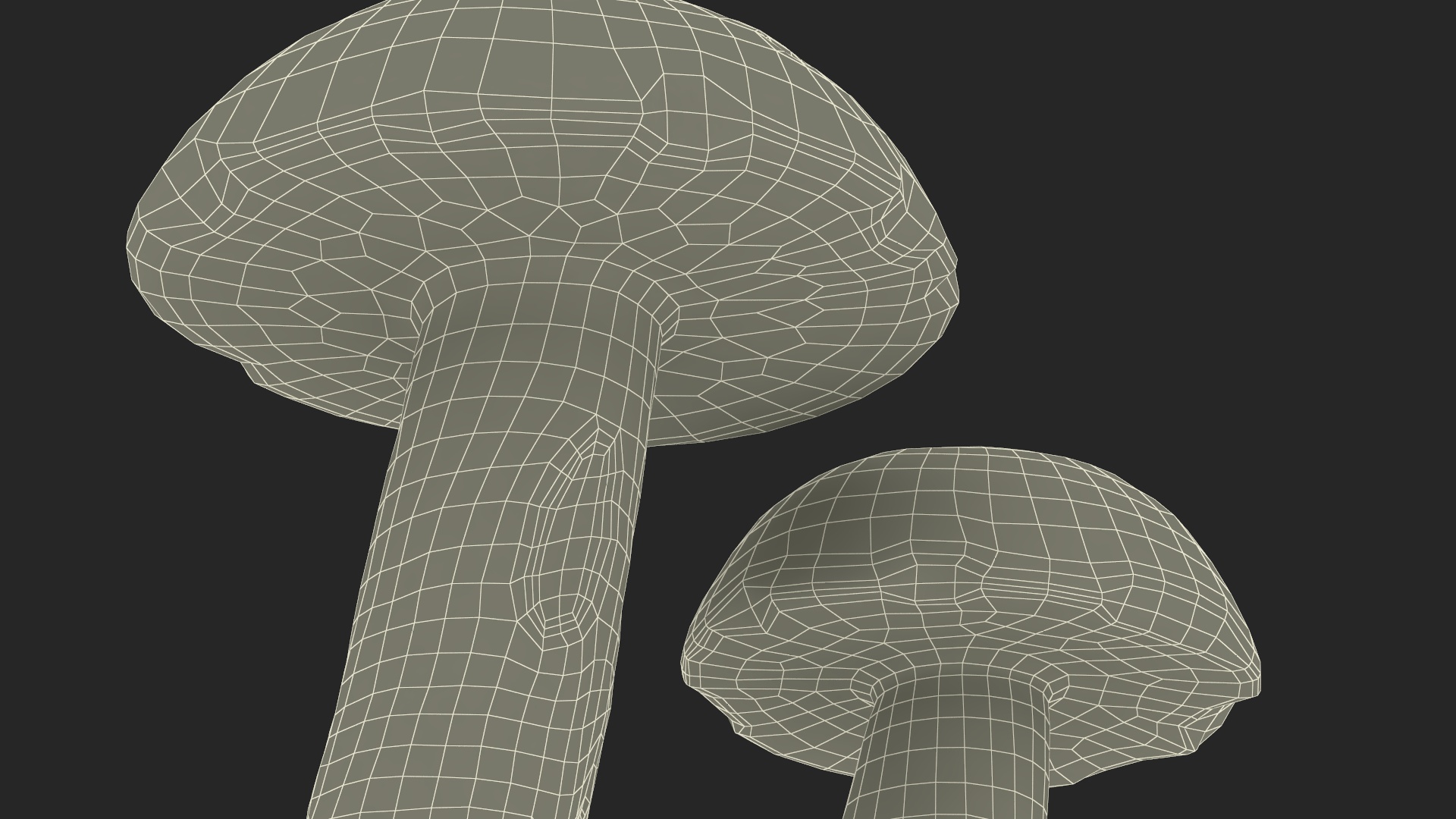Brown Cap Boletus 3D