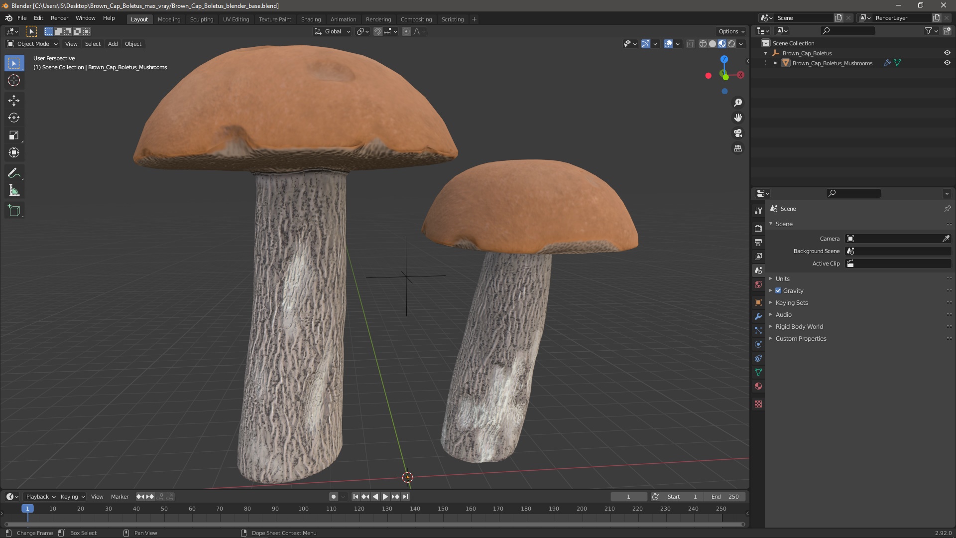 Brown Cap Boletus 3D