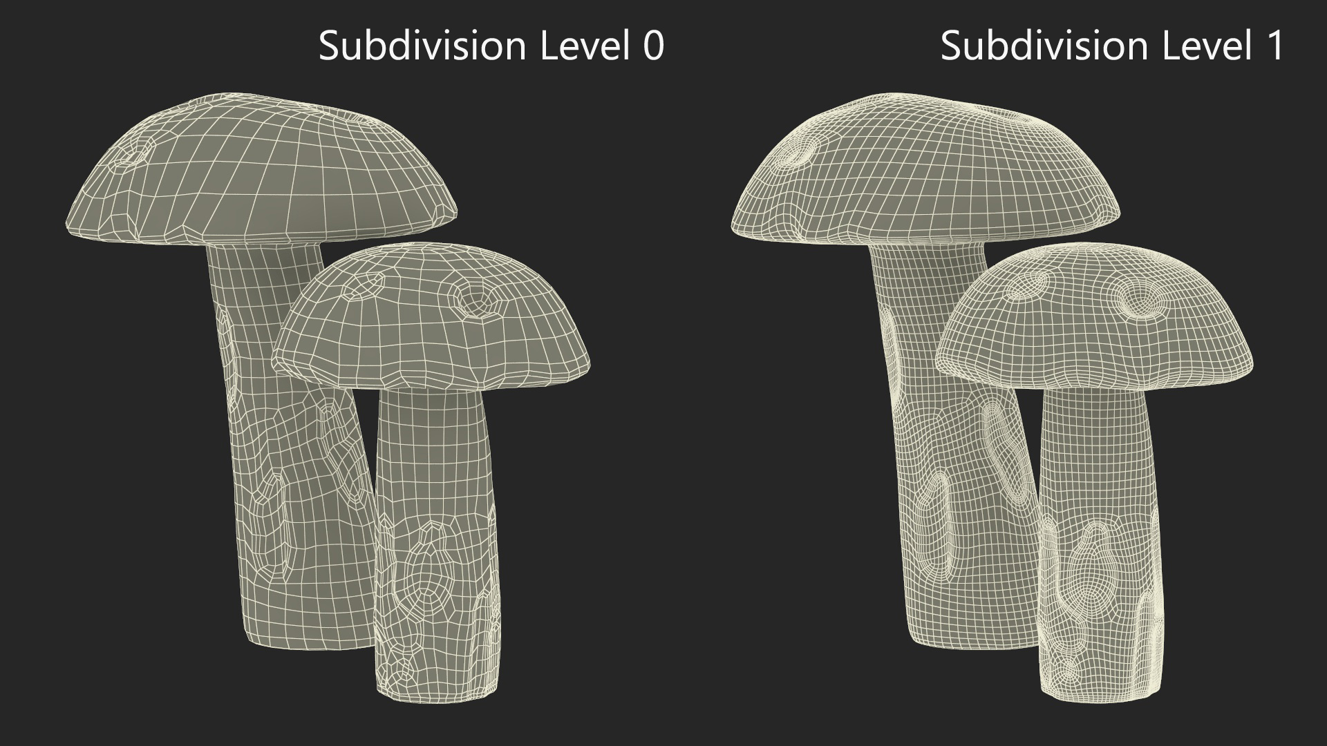 Brown Cap Boletus 3D