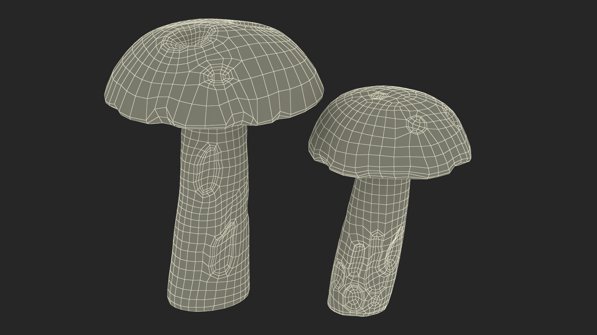 Brown Cap Boletus 3D
