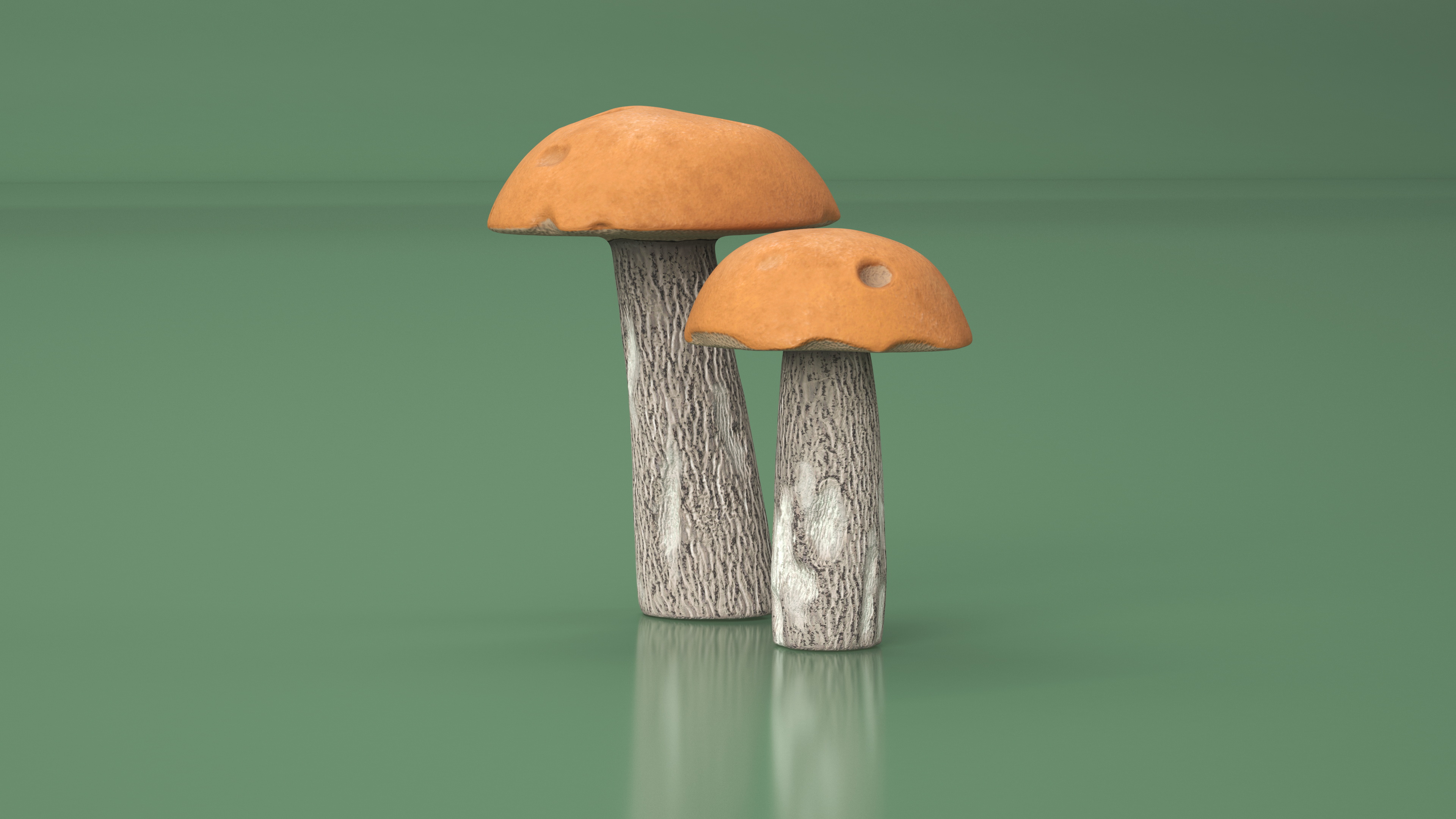Brown Cap Boletus 3D