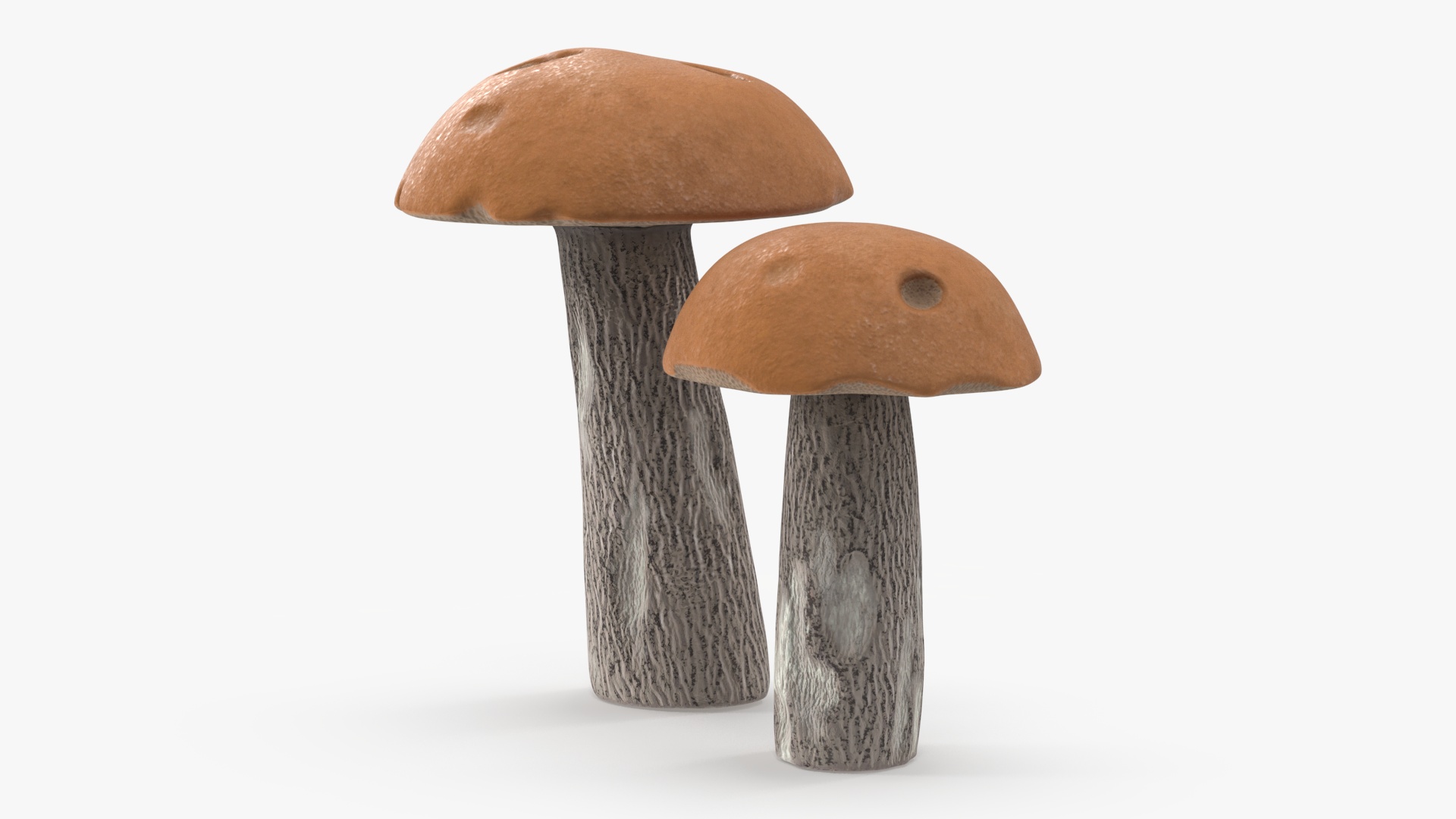 Brown Cap Boletus 3D
