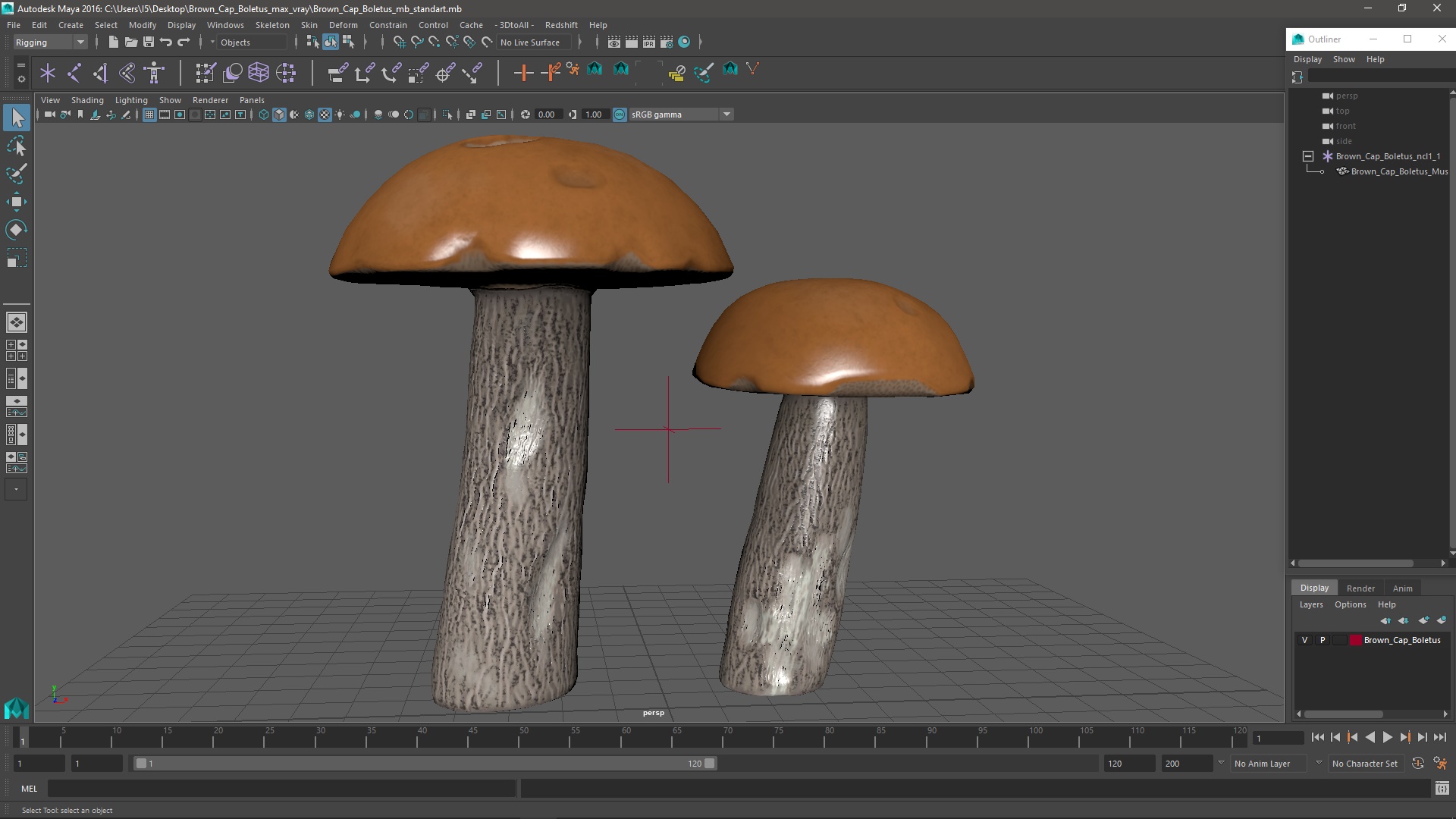 Brown Cap Boletus 3D