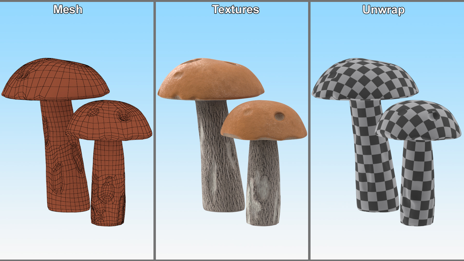 Brown Cap Boletus 3D