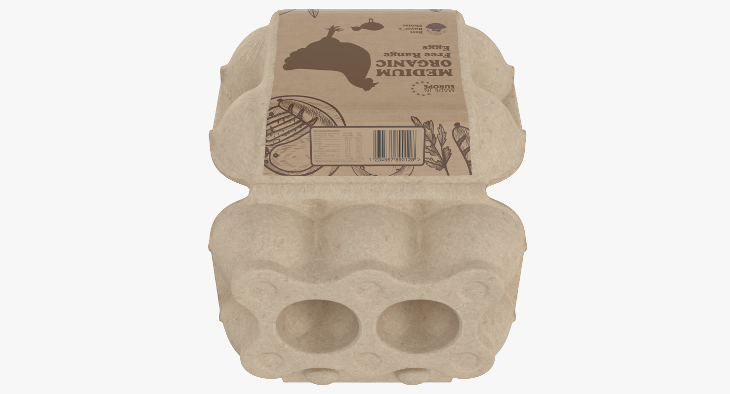 Carton Eggs Six Cardboard Opened 3D