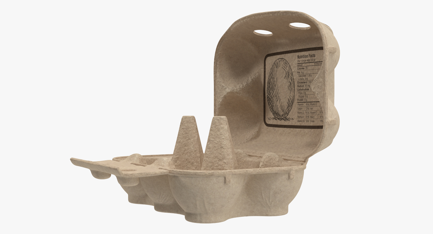 Carton Eggs Six Cardboard Opened 3D