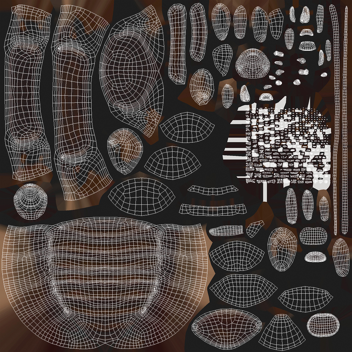 Cryptocercus Punctulatus 3D model