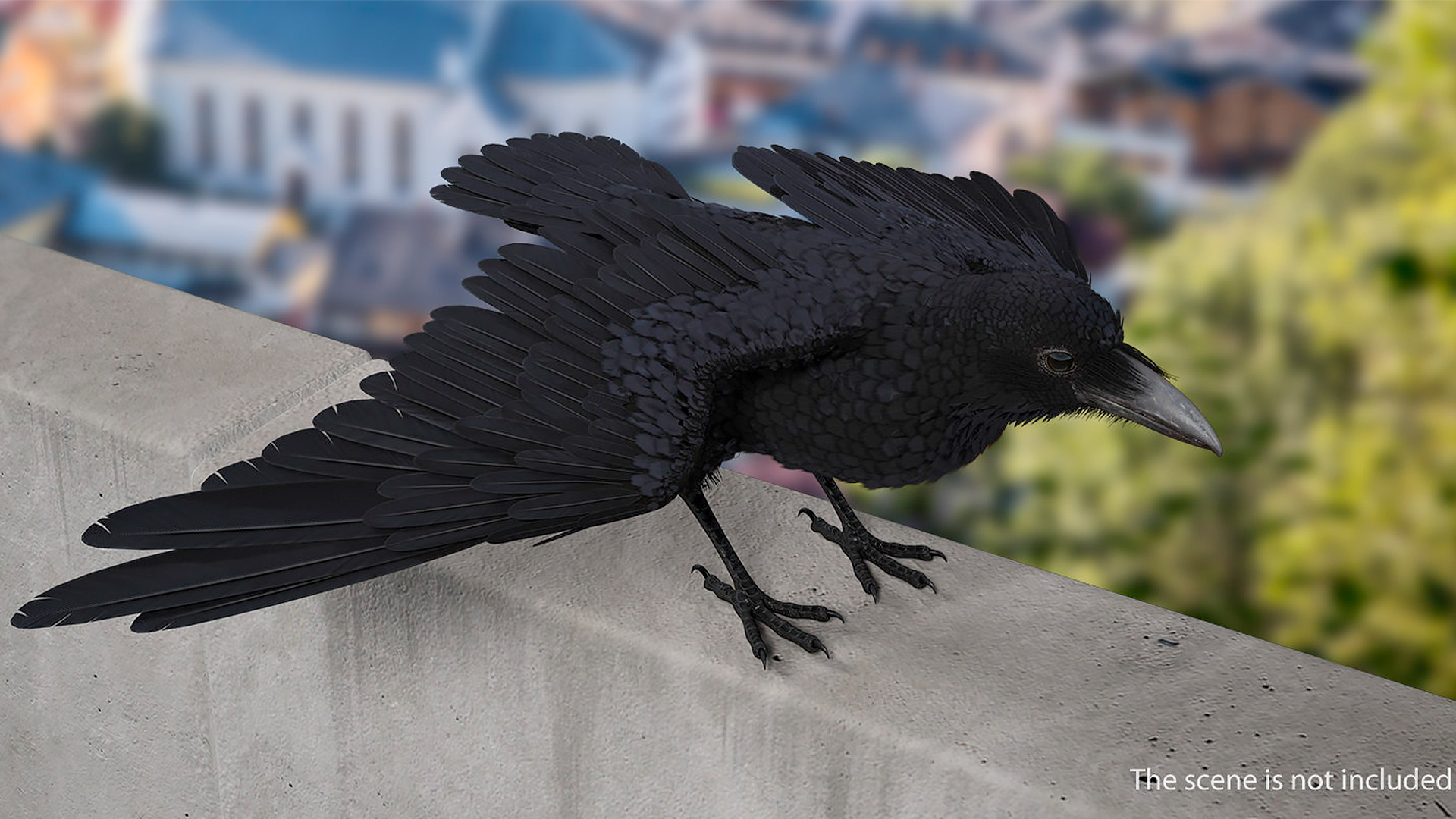 Raven Takeoff Animated Rigged 3D model