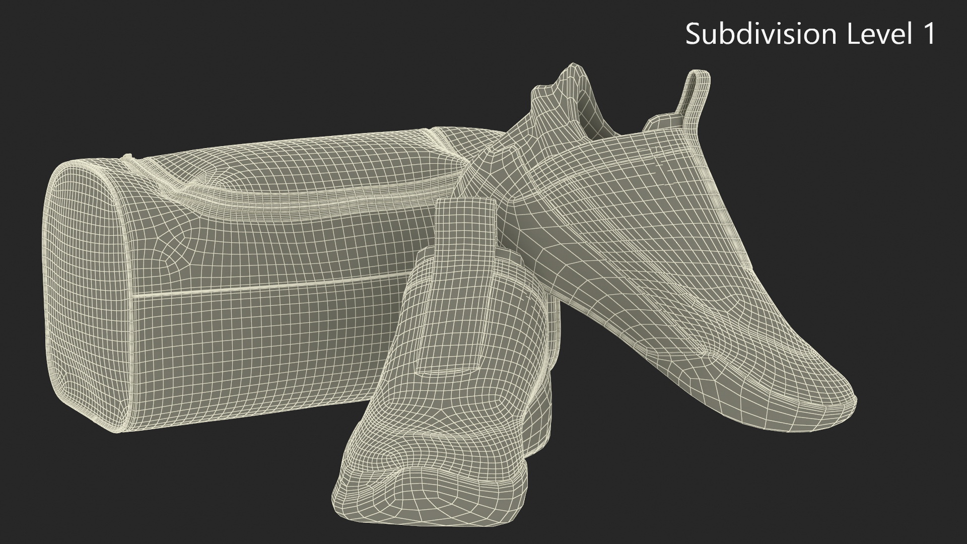 Sport Shoe Bag and Sneakers 3D