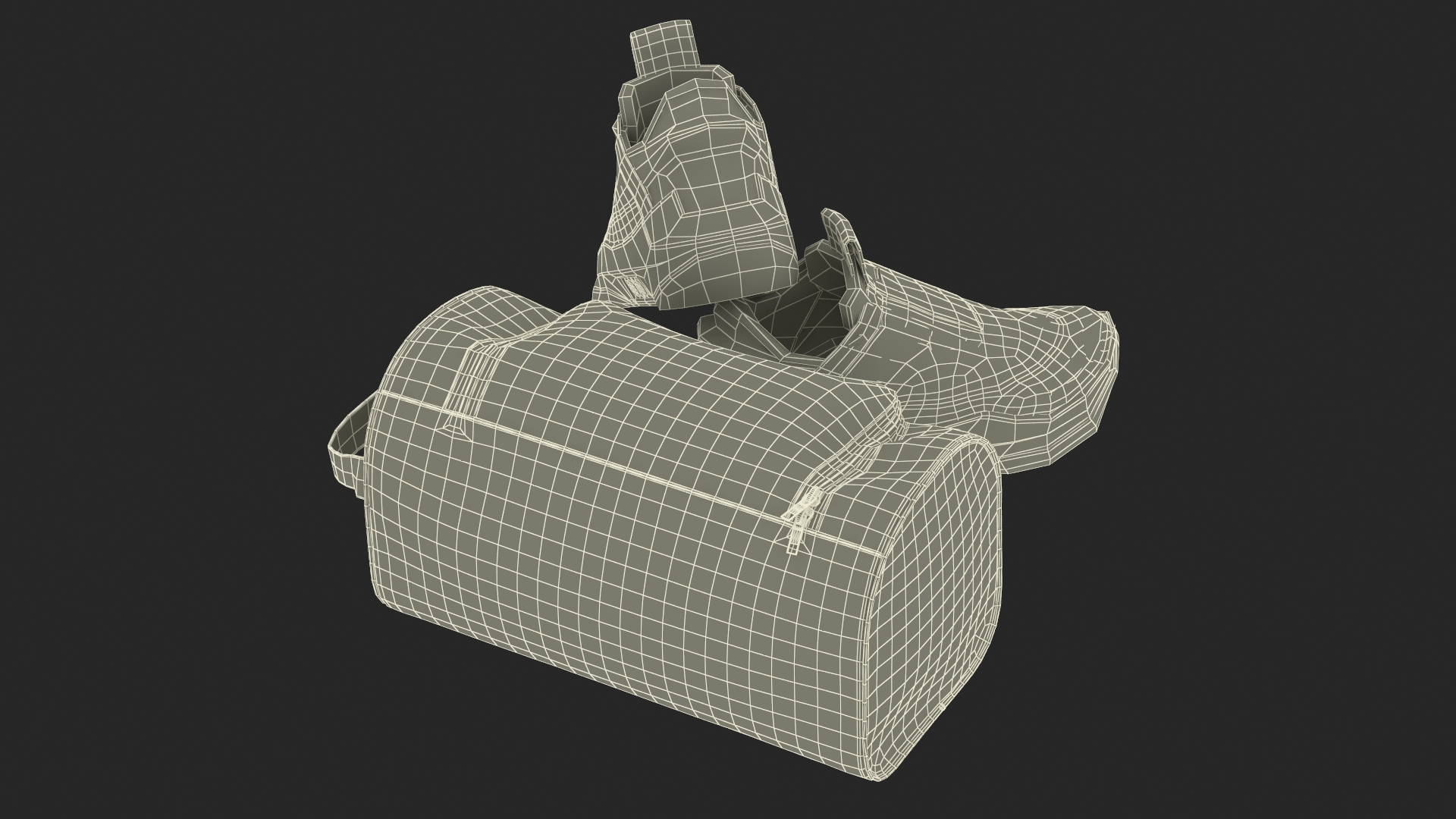Sport Shoe Bag and Sneakers 3D