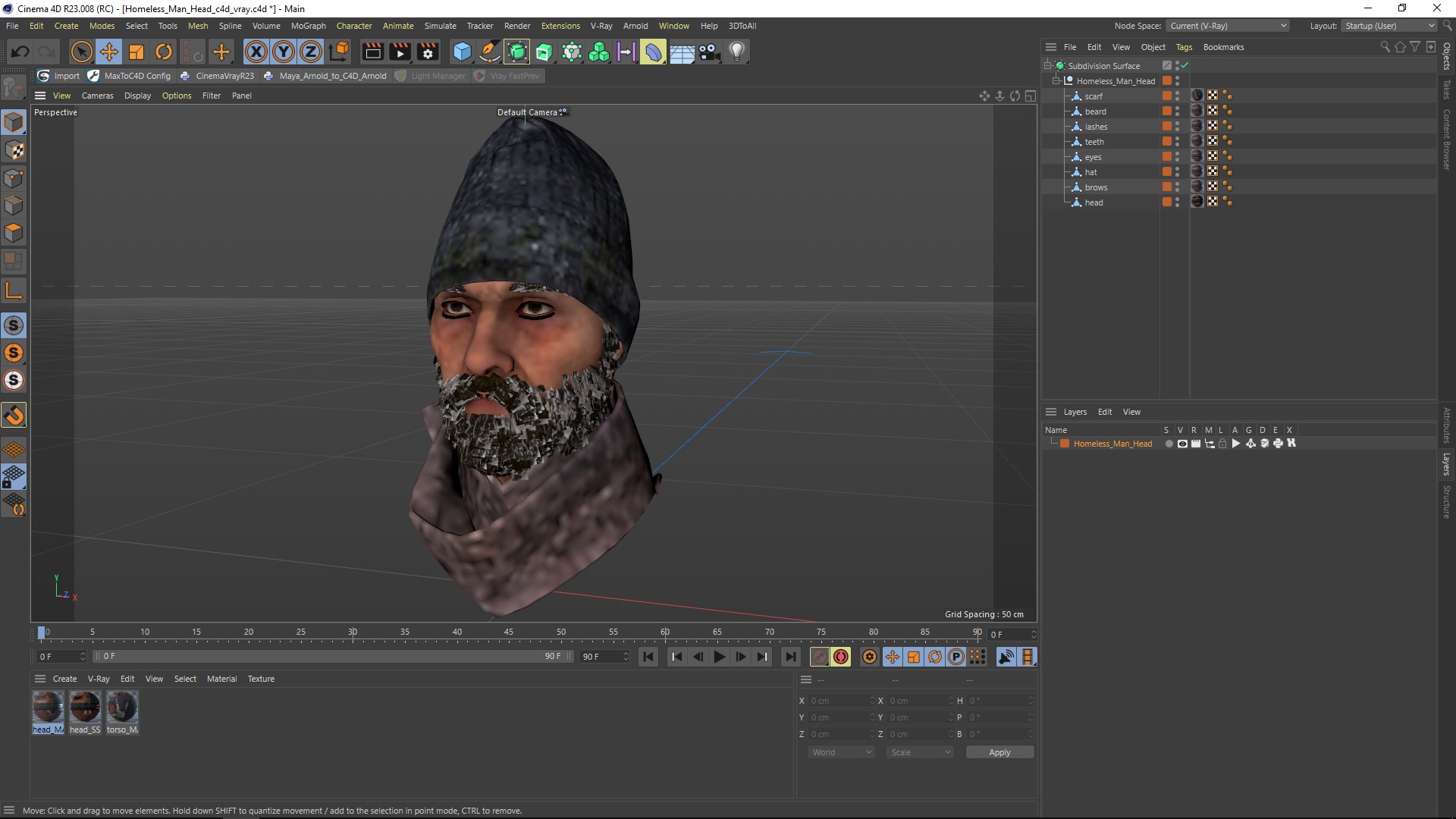 Homeless Man Head 3D