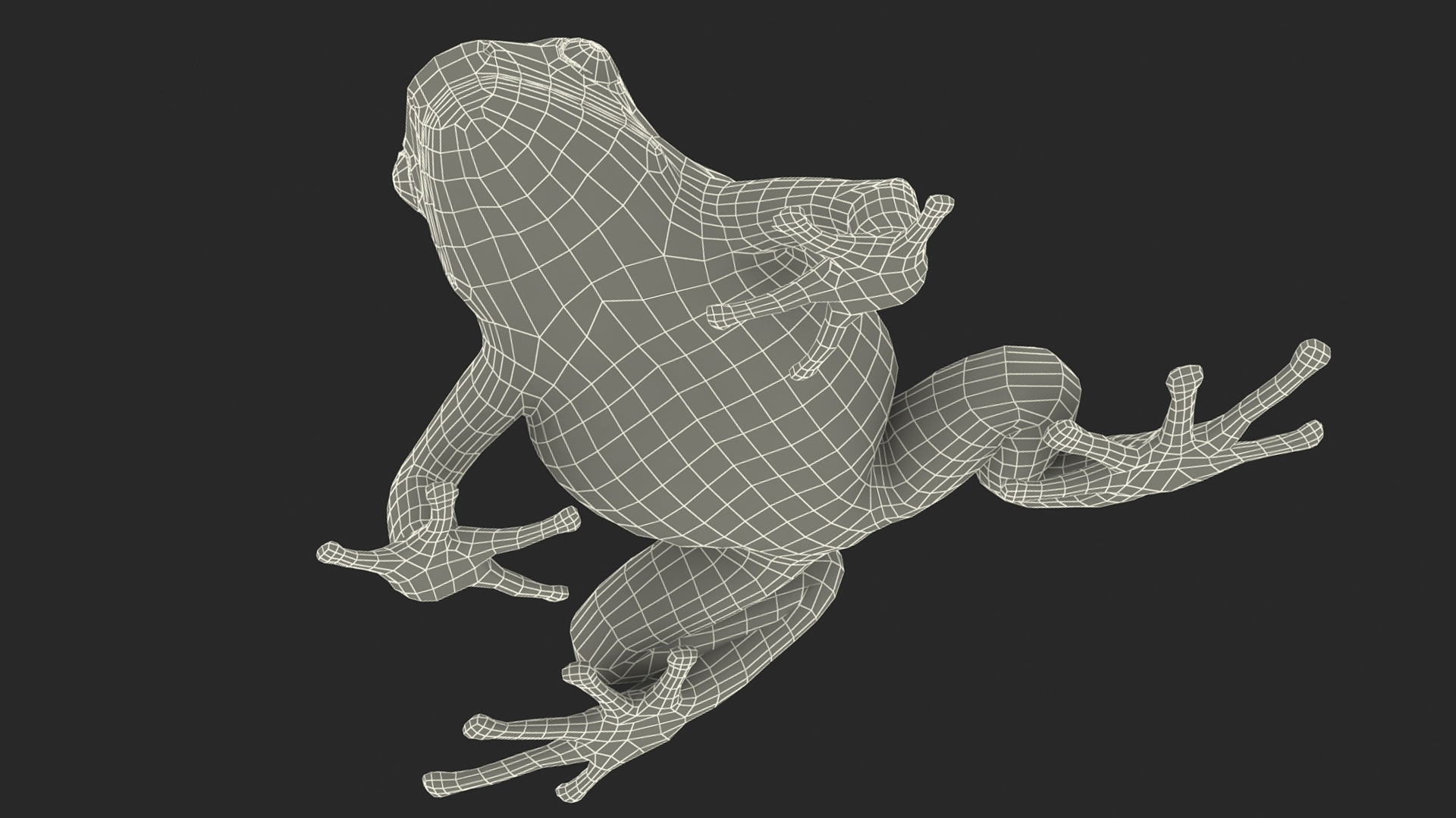 3D Realistic Poison Dart Frog Rigged model