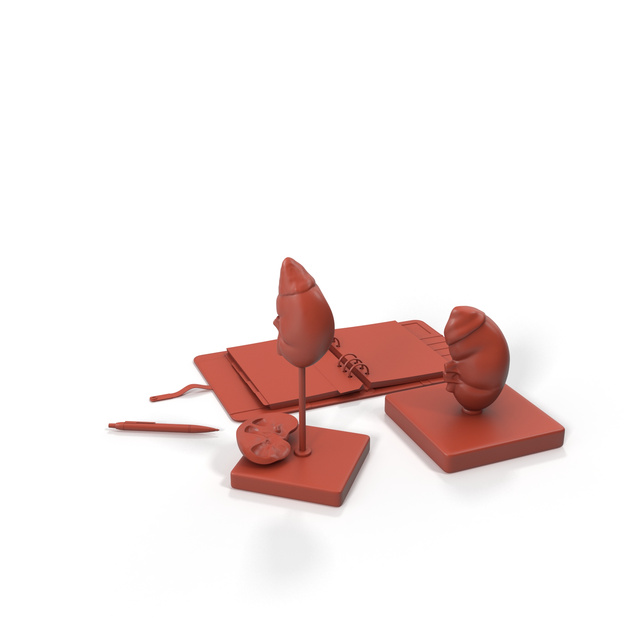 3D Kidney Clinical Anatomy Educational for 3D Print model