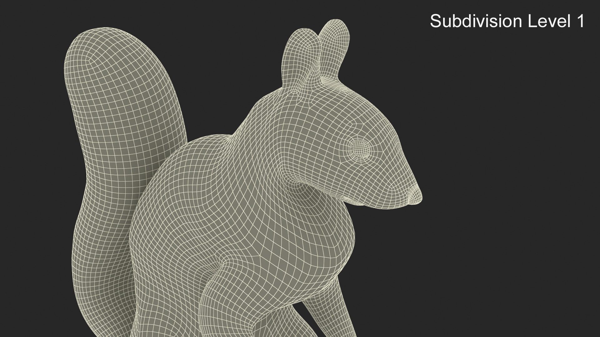 3D Squirrel Standing Gray Fur