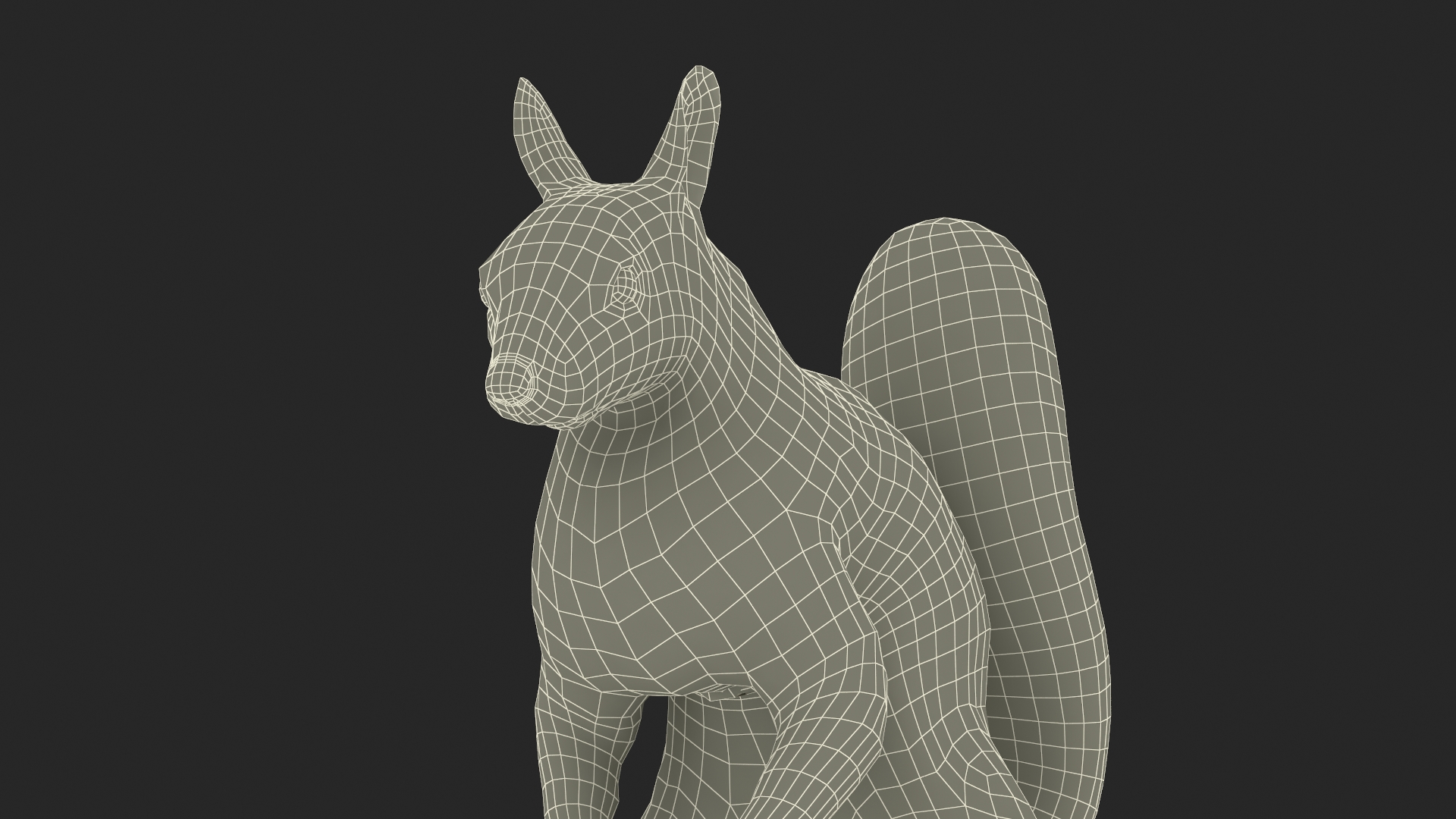 3D Squirrel Standing Gray Fur