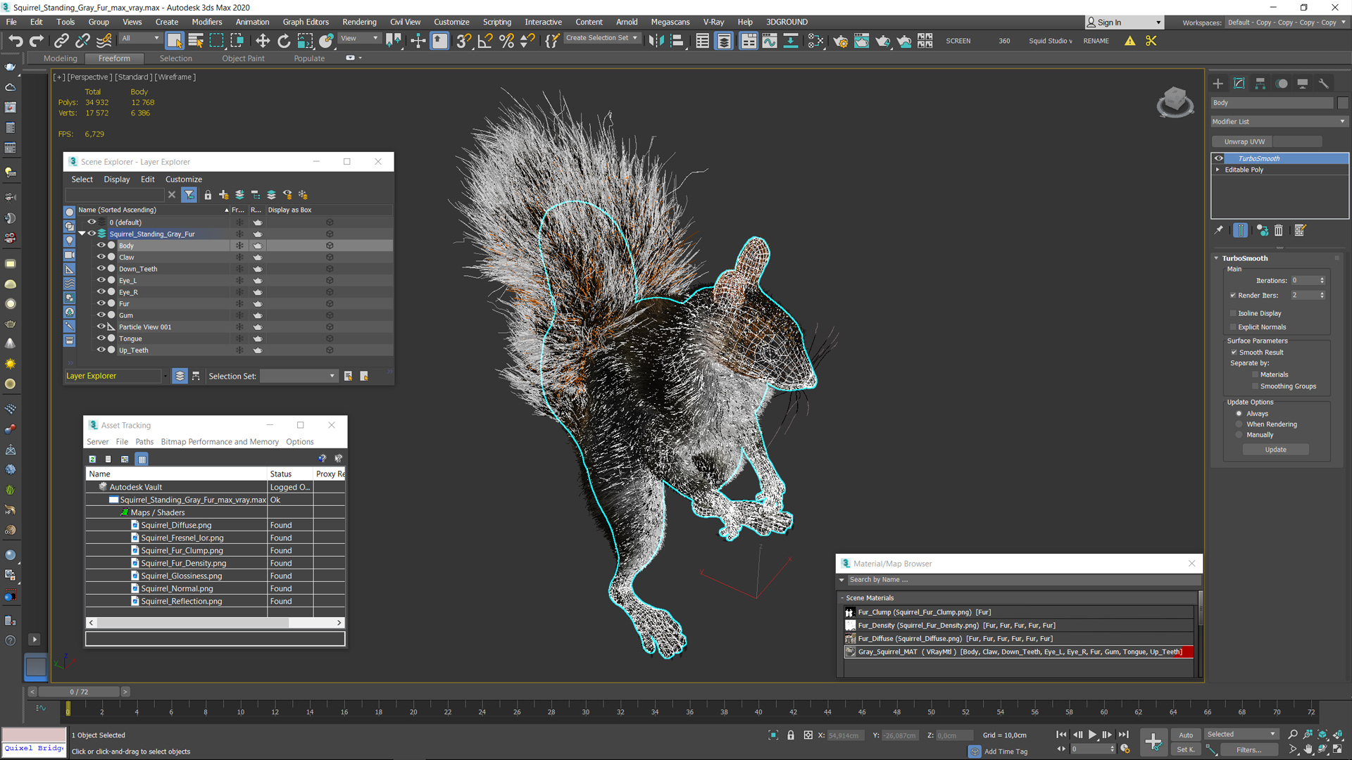 3D Squirrel Standing Gray Fur