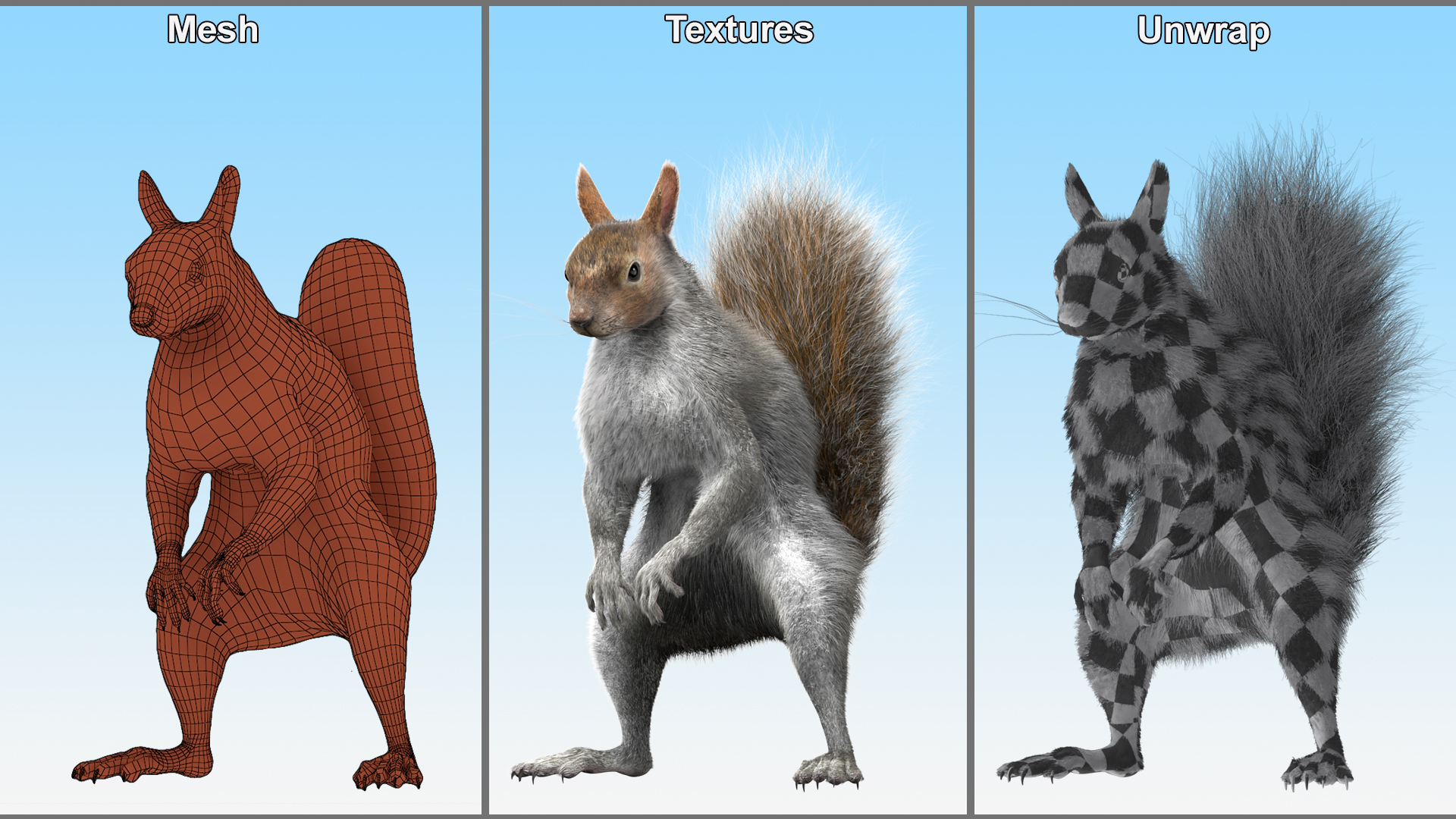 3D Squirrel Standing Gray Fur