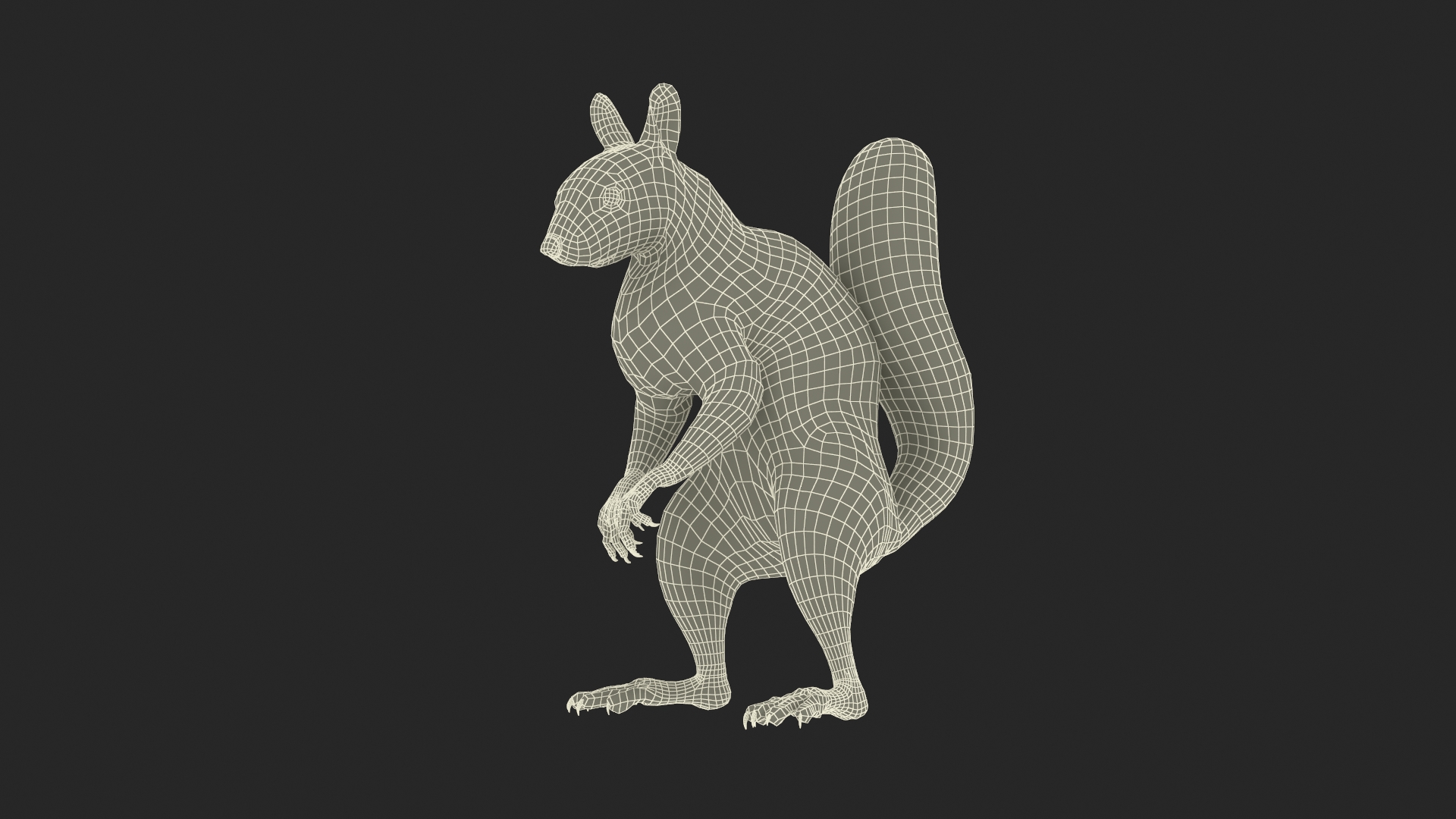 3D Squirrel Standing Gray Fur