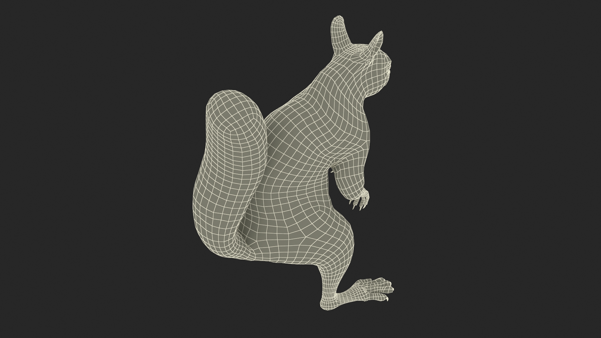 3D Squirrel Standing Gray Fur