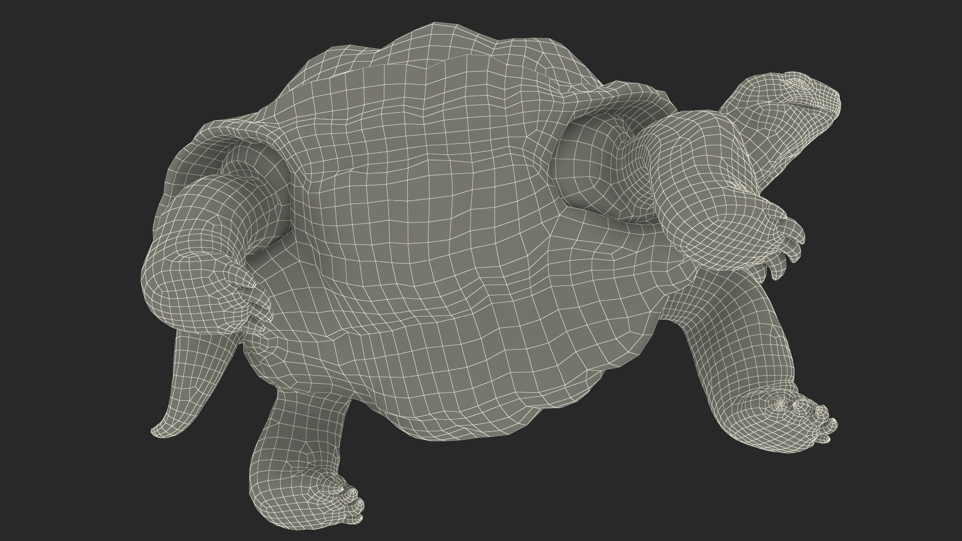 3D Dirty Old Giant Turtle Stand Pose model
