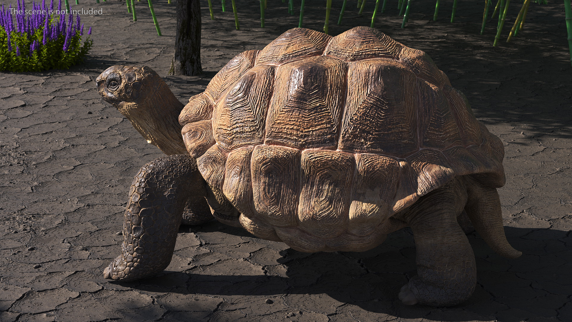 3D Dirty Old Giant Turtle Stand Pose model