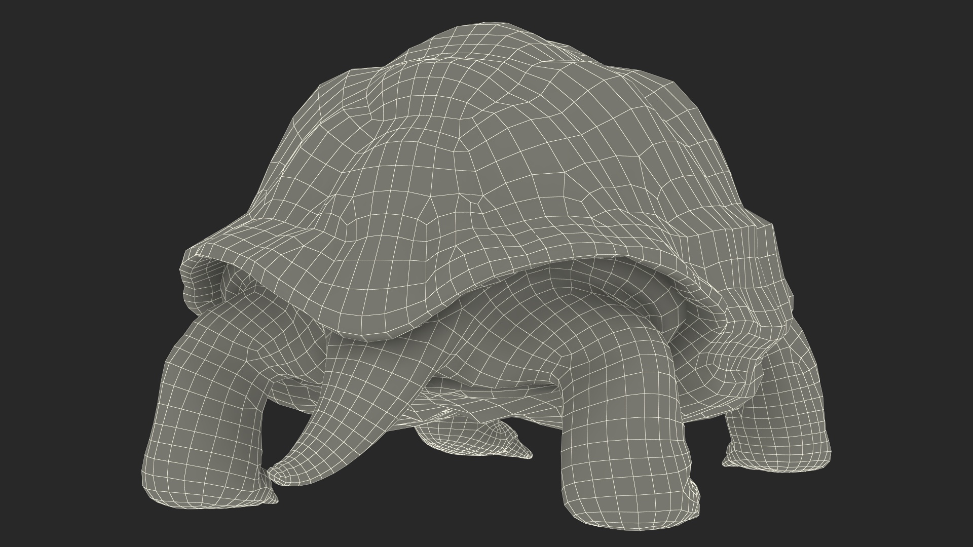 3D Dirty Old Giant Turtle Stand Pose model