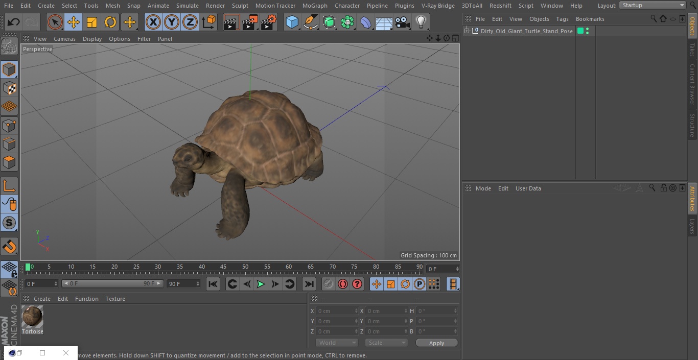 3D Dirty Old Giant Turtle Stand Pose model