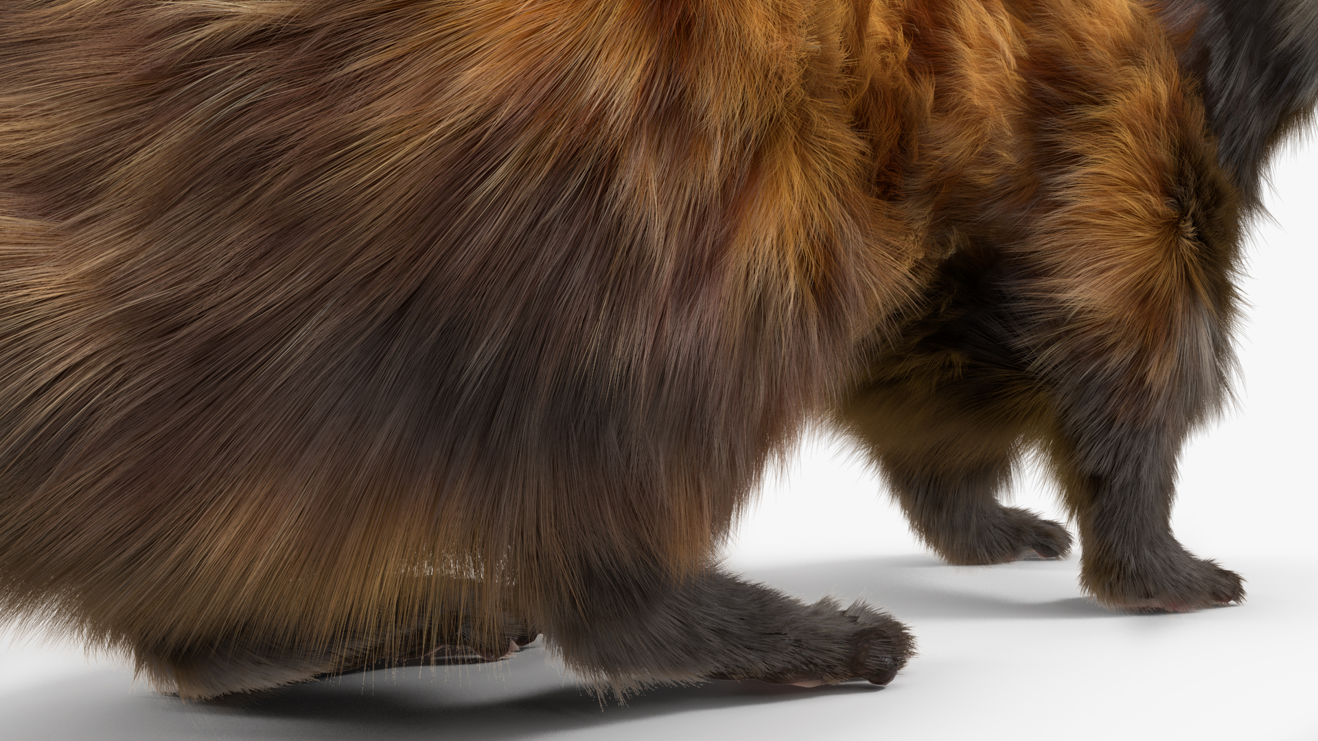 Vormela Peregusna in Walking Pose Fur 3D