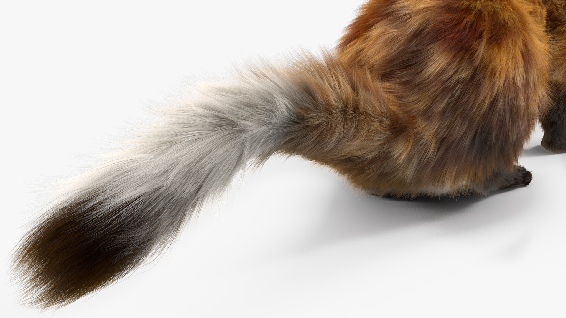 Vormela Peregusna in Walking Pose Fur 3D