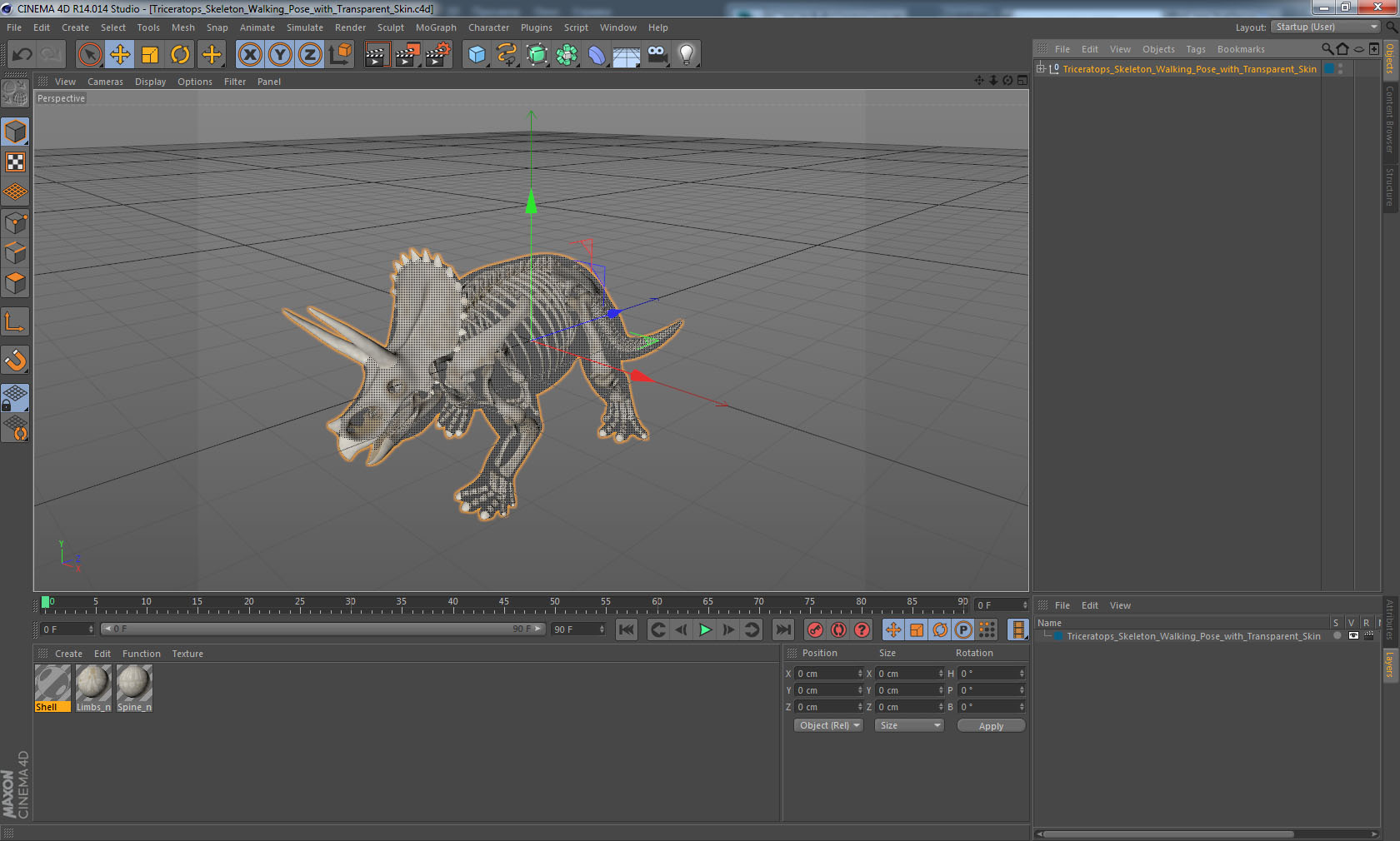 3D model Triceratops Skeleton Walking Pose with Transparent Skin