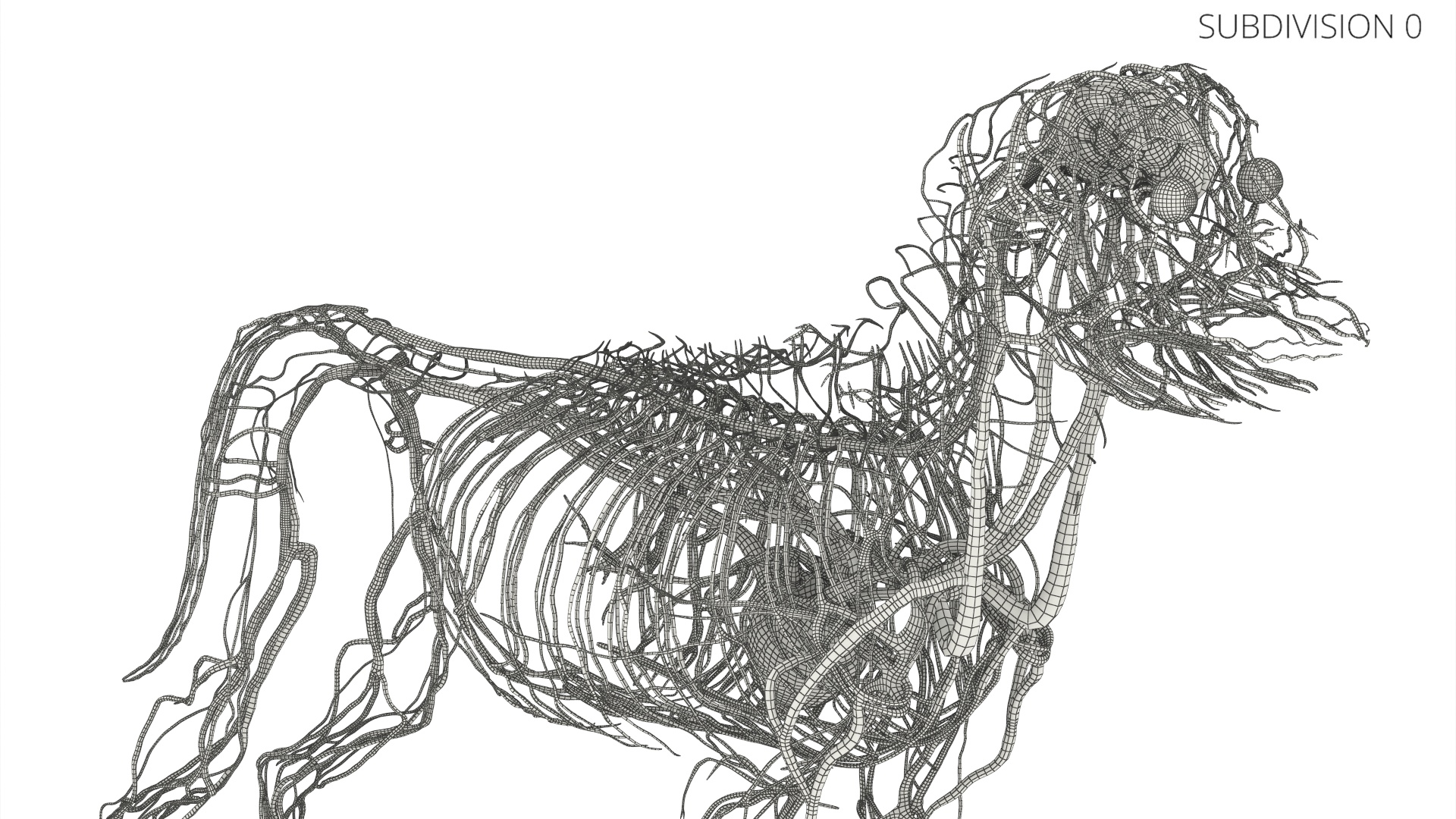 Dog Circulatory and Nervous Network Anatomy Model - view 9