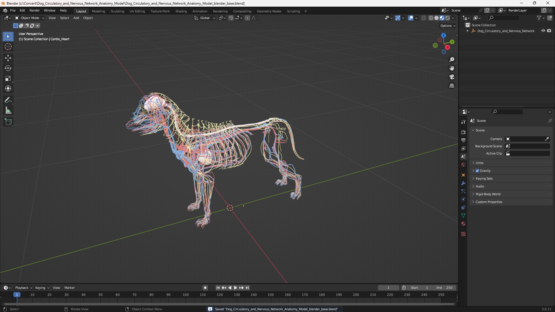 Dog Circulatory and Nervous Network Anatomy Model - view 10