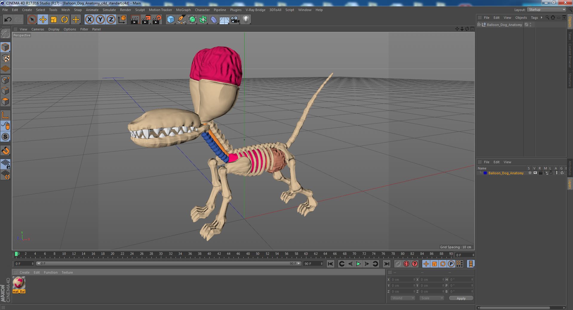 Balloon Dog Anatomy 3D model
