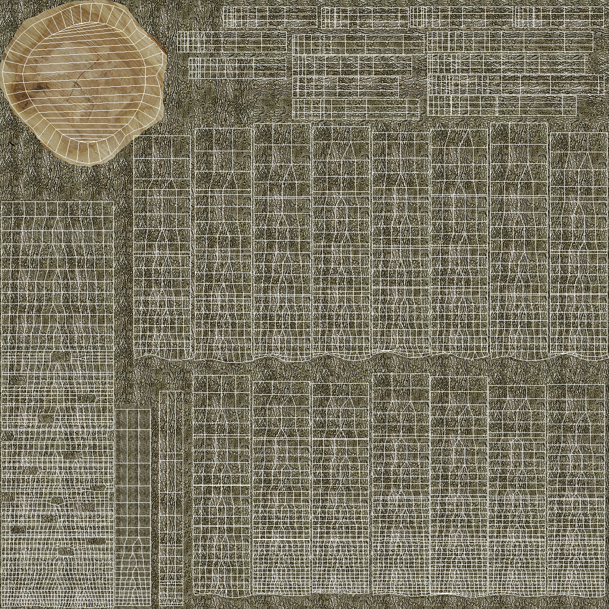 3D Realistic Poplar Tree