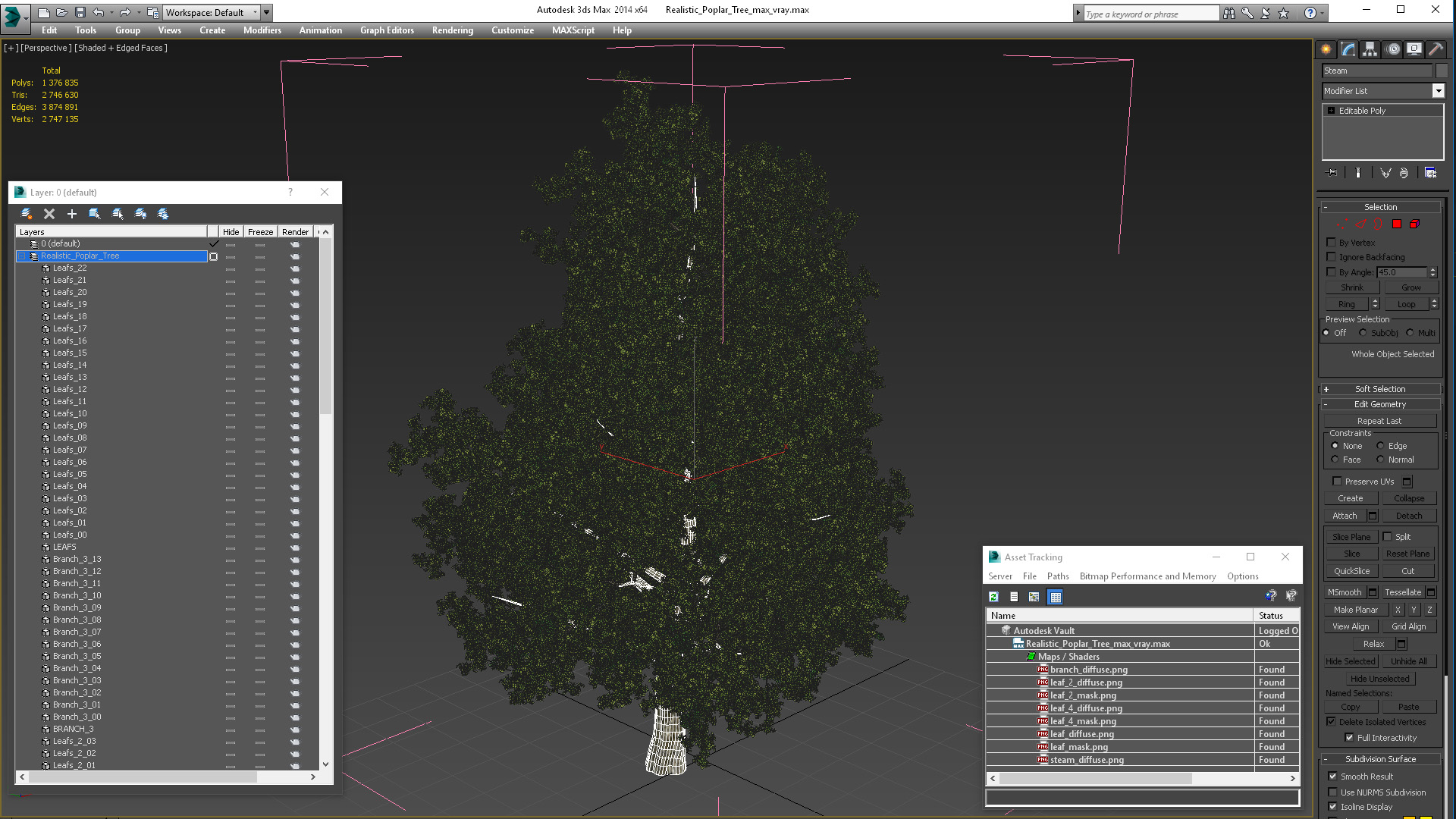 3D Realistic Poplar Tree