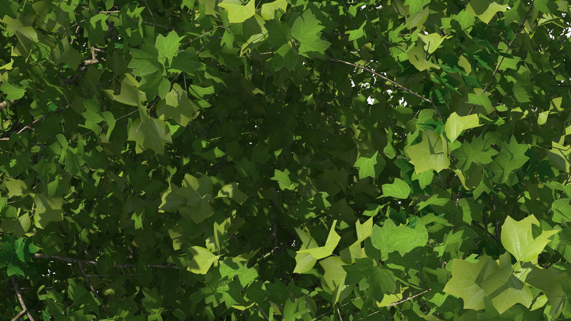 3D Realistic Poplar Tree