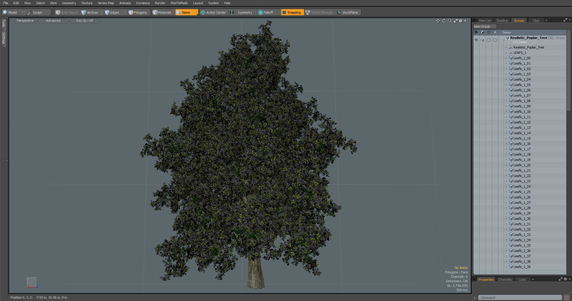 3D Realistic Poplar Tree