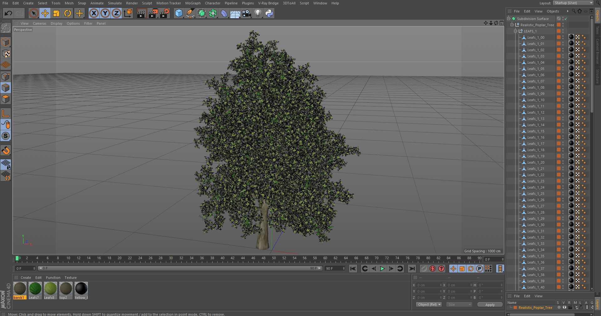 3D Realistic Poplar Tree