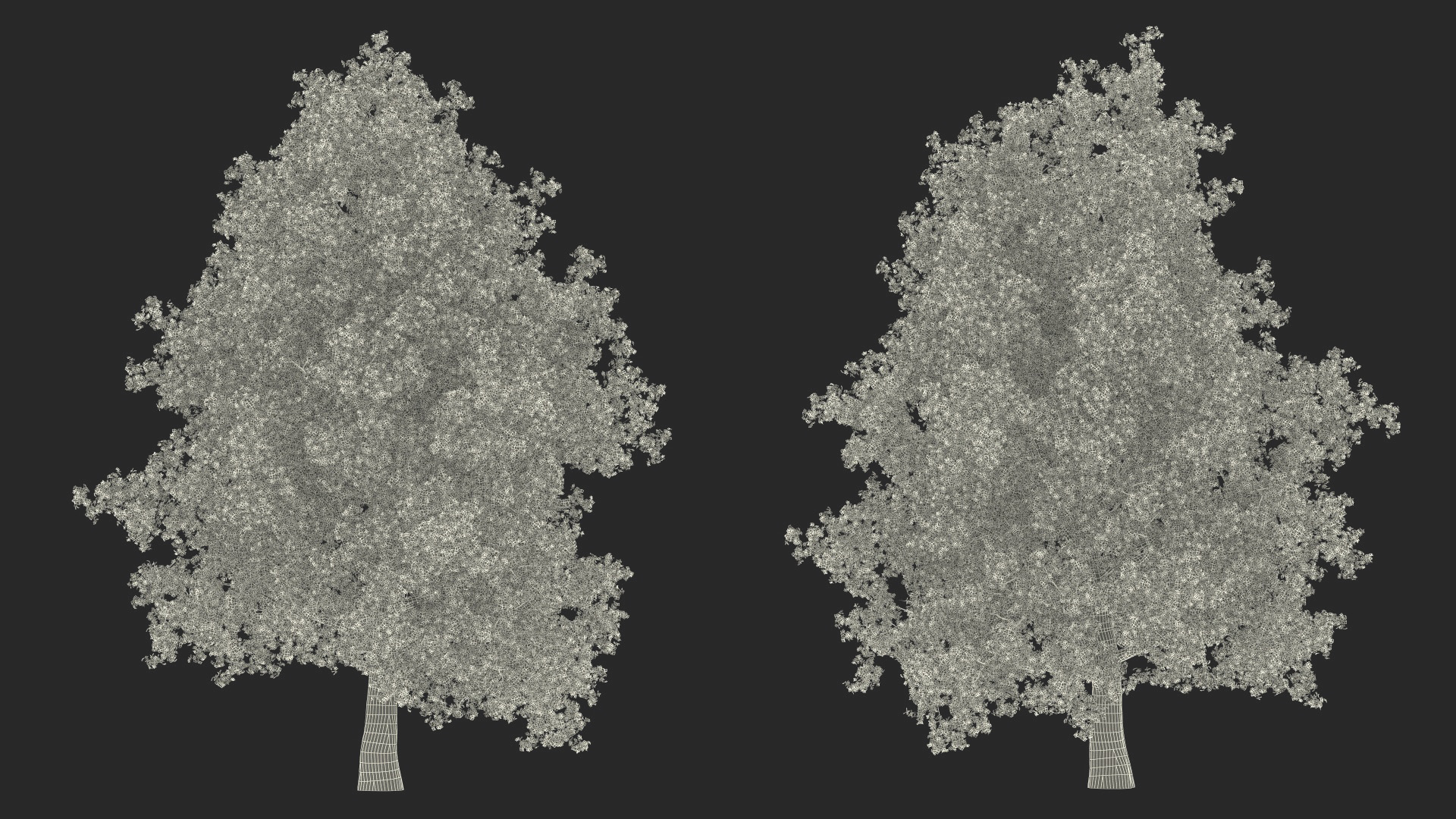 3D Realistic Poplar Tree