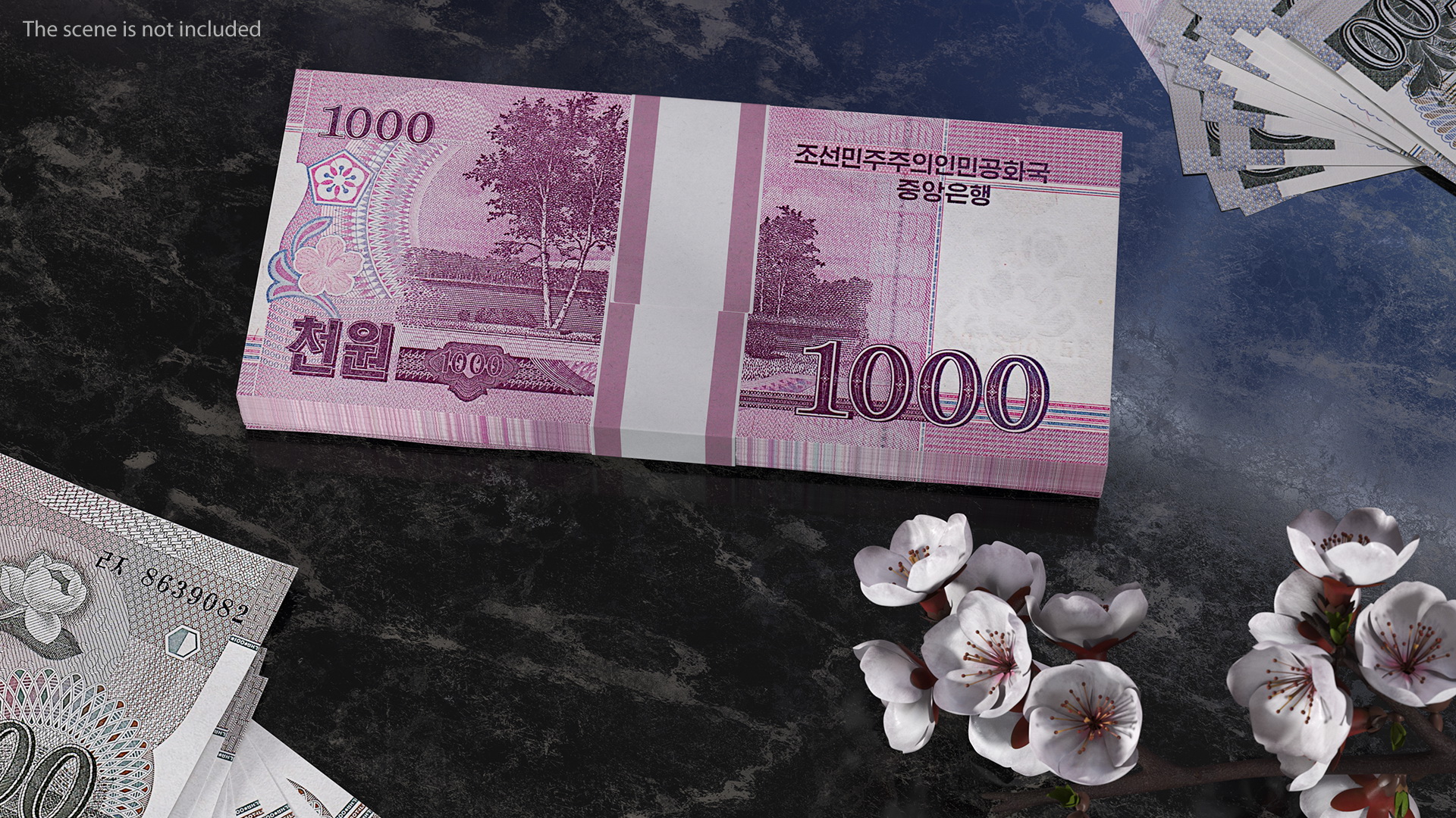 North Korea 1000 Won Banknotes Bundle 3D