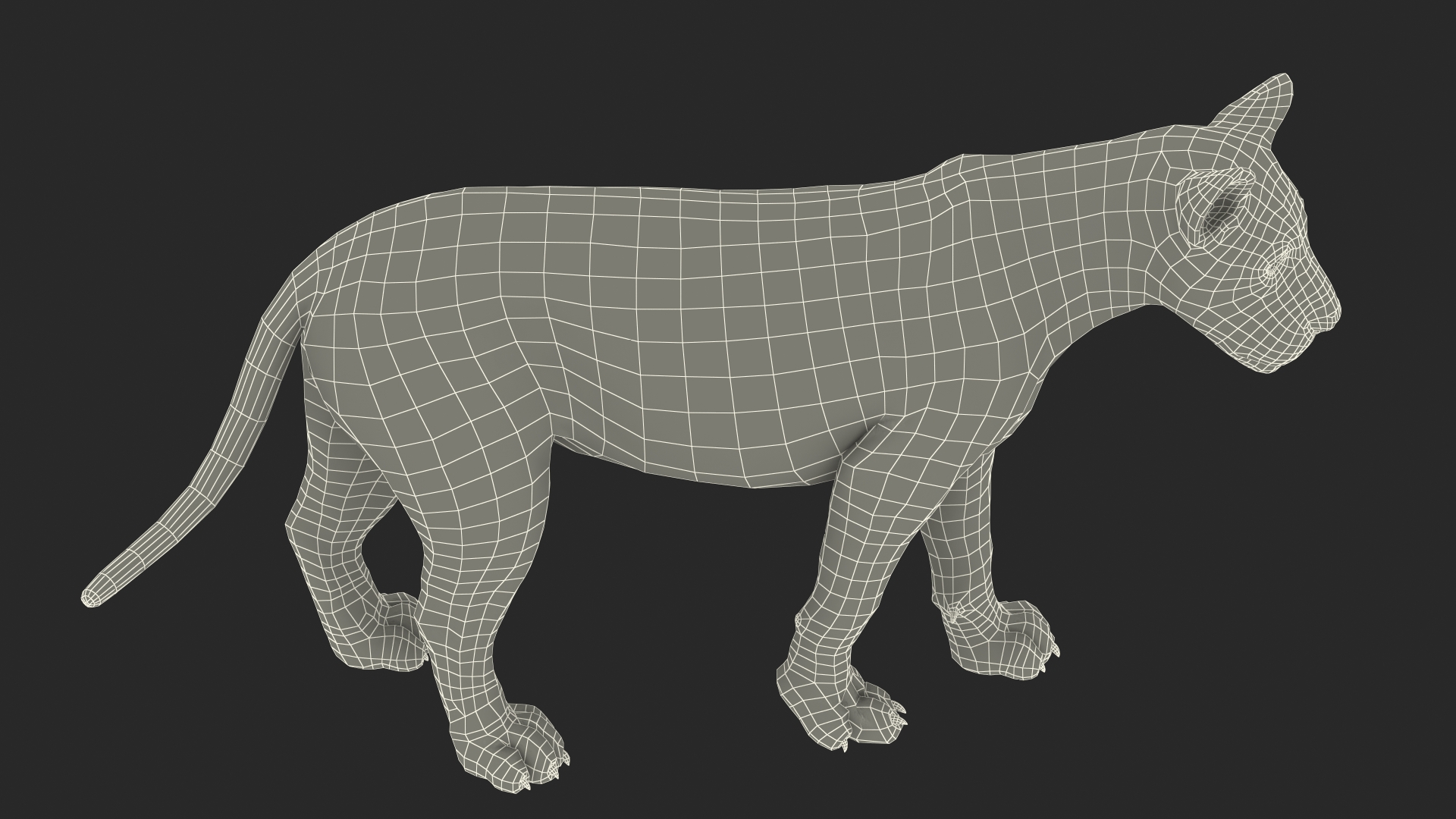 3D Lion Walking Pose Fur
