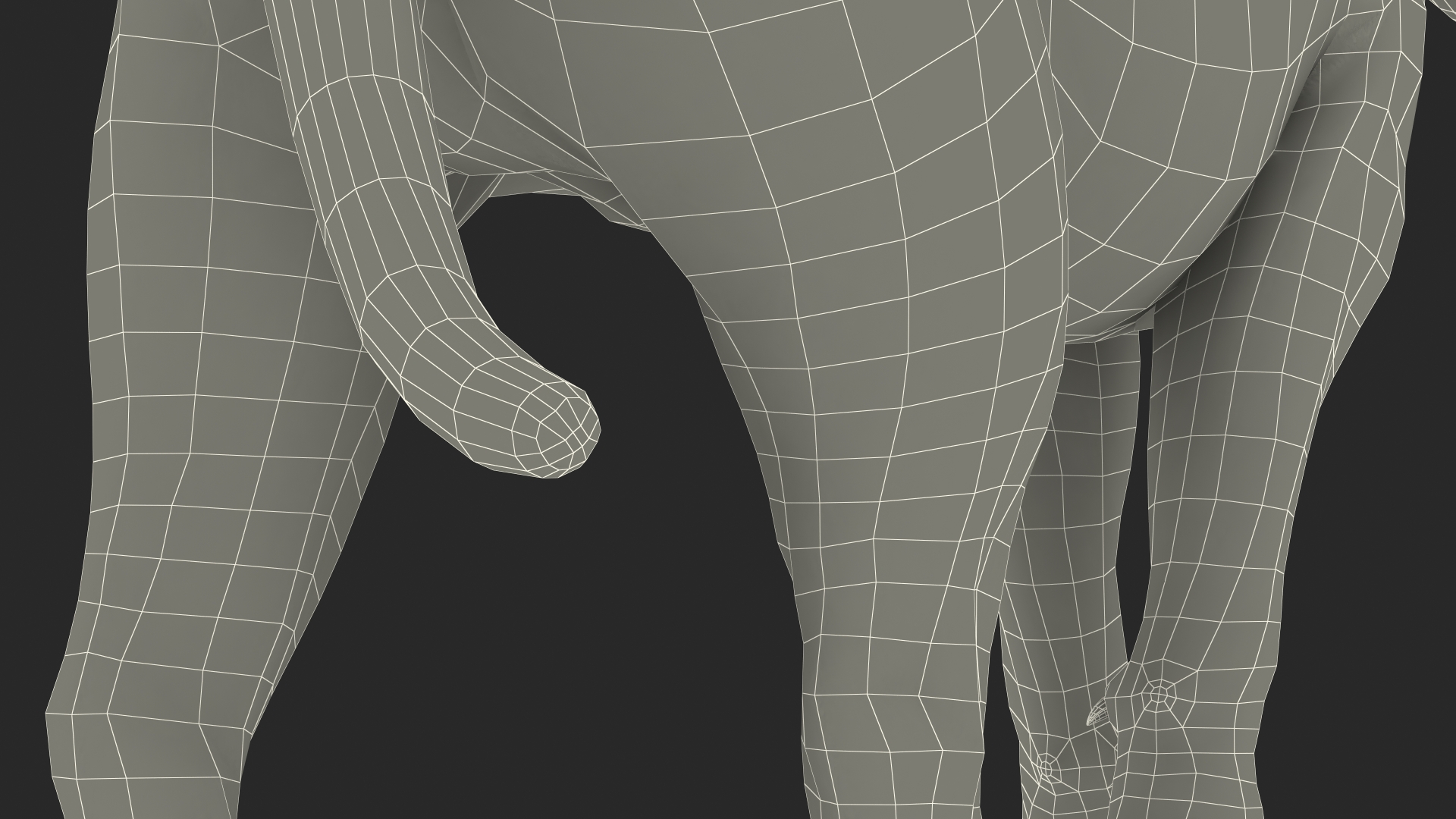 3D Lion Walking Pose Fur
