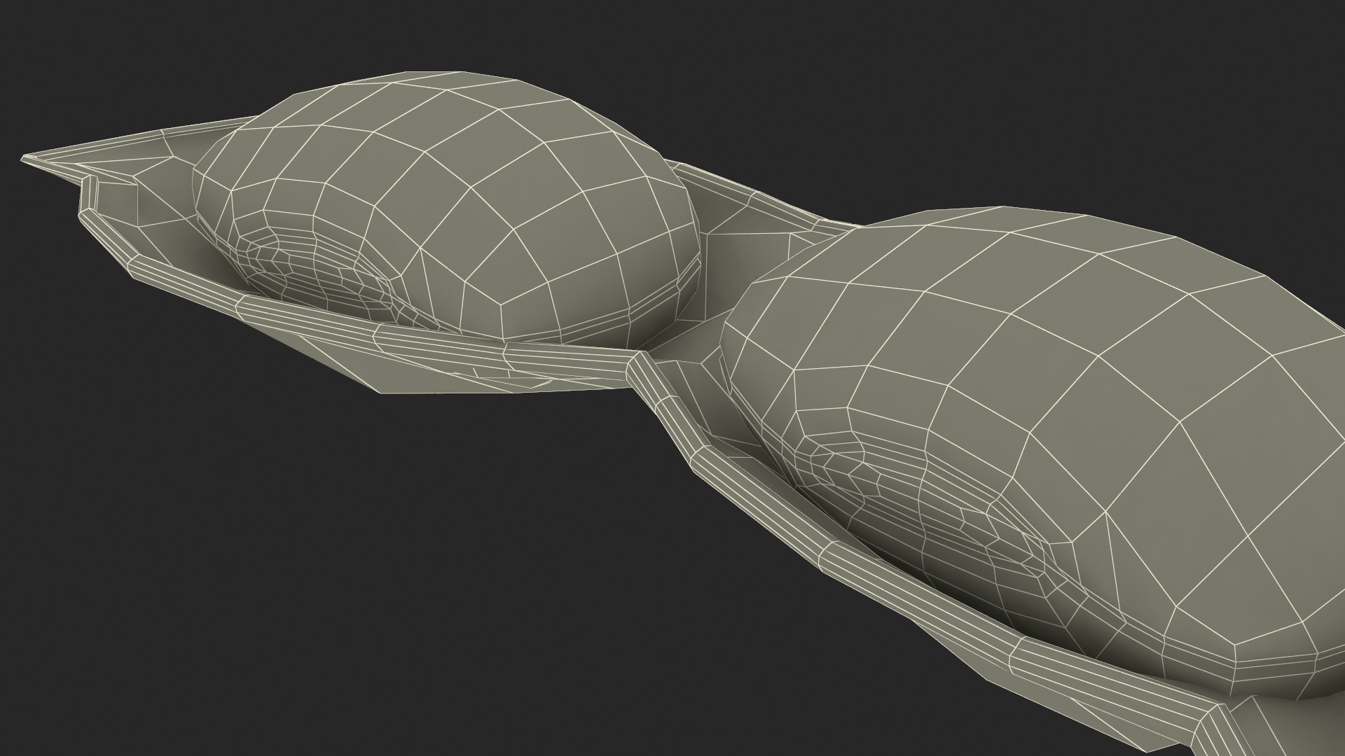 Green Soybean Pod Open 3D